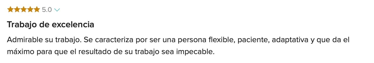 Five-star Spanish review titled Trabajo de excelencia praising Raymond Vega as flexible, patient, and adaptive.