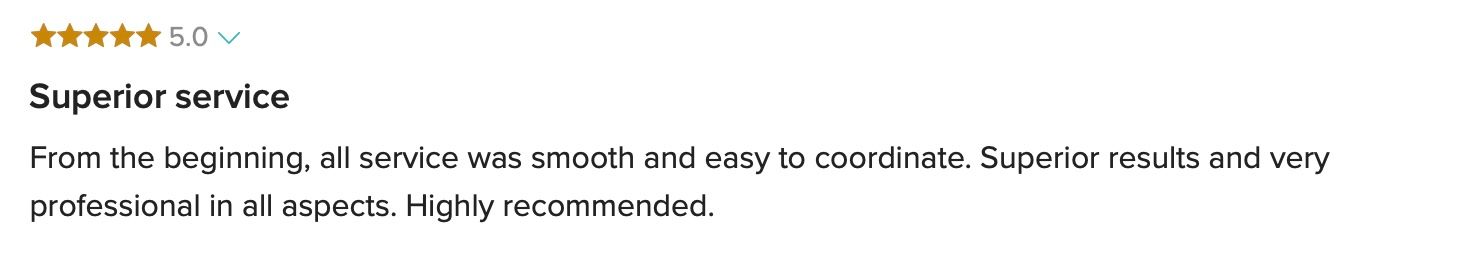 Five-star review praising Raymond Vega Photography for superior service and smooth coordination.