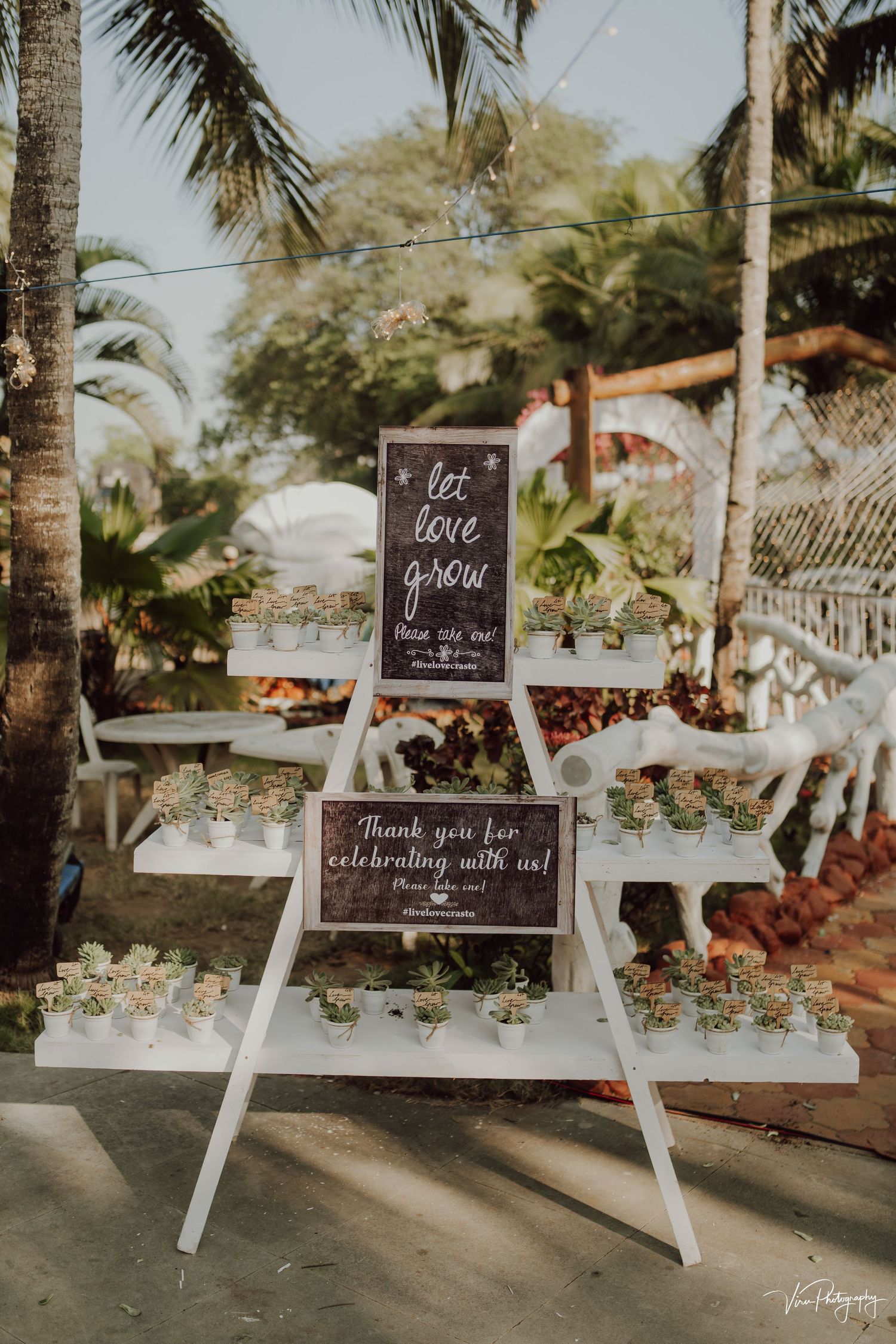 White ladder display with chalkboard signs and small succulent party favors at a tropical outdoor wedding reception.