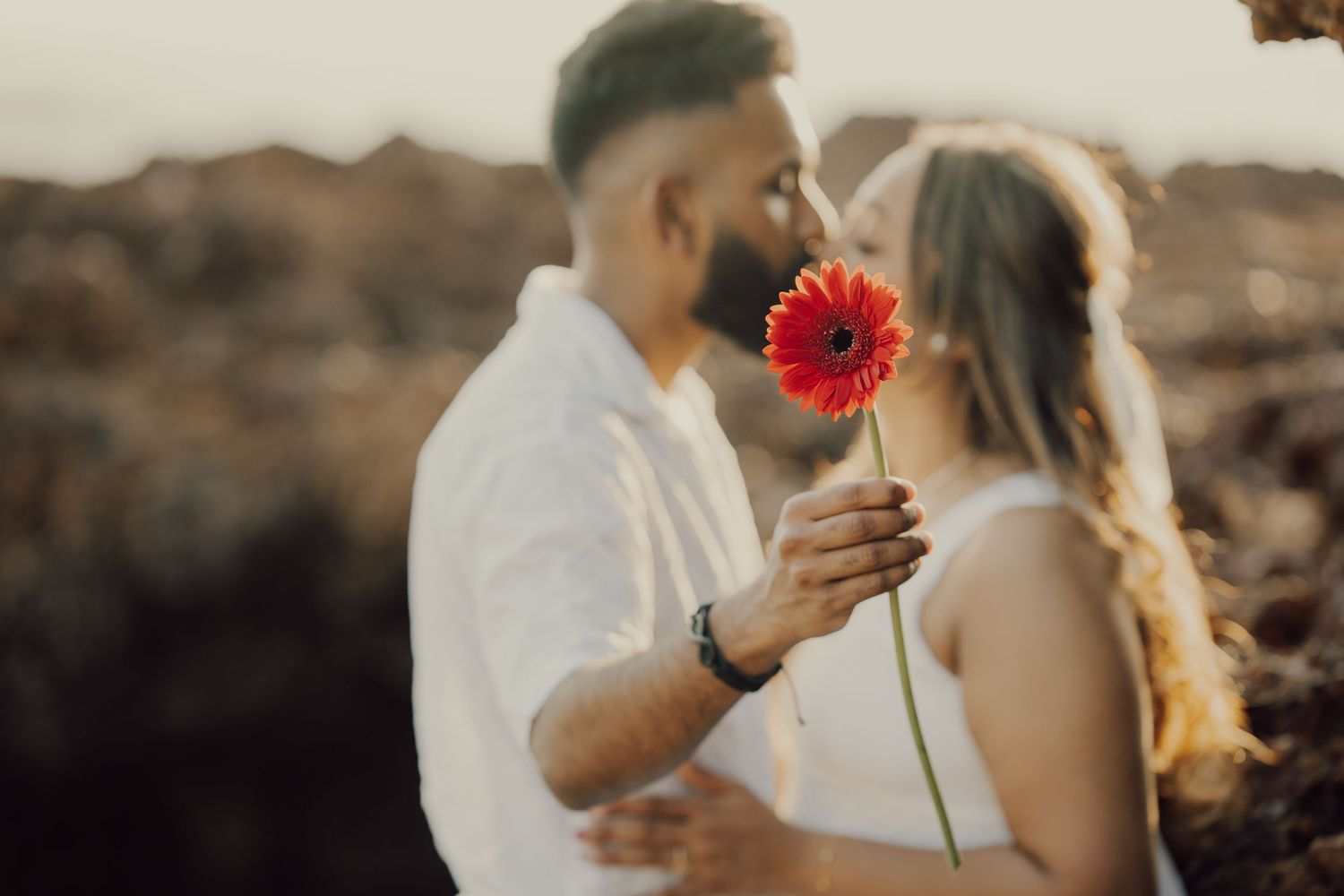 A couple shares a romantic moment at sunset while holding a vibrant red gerbera daisy flower.
