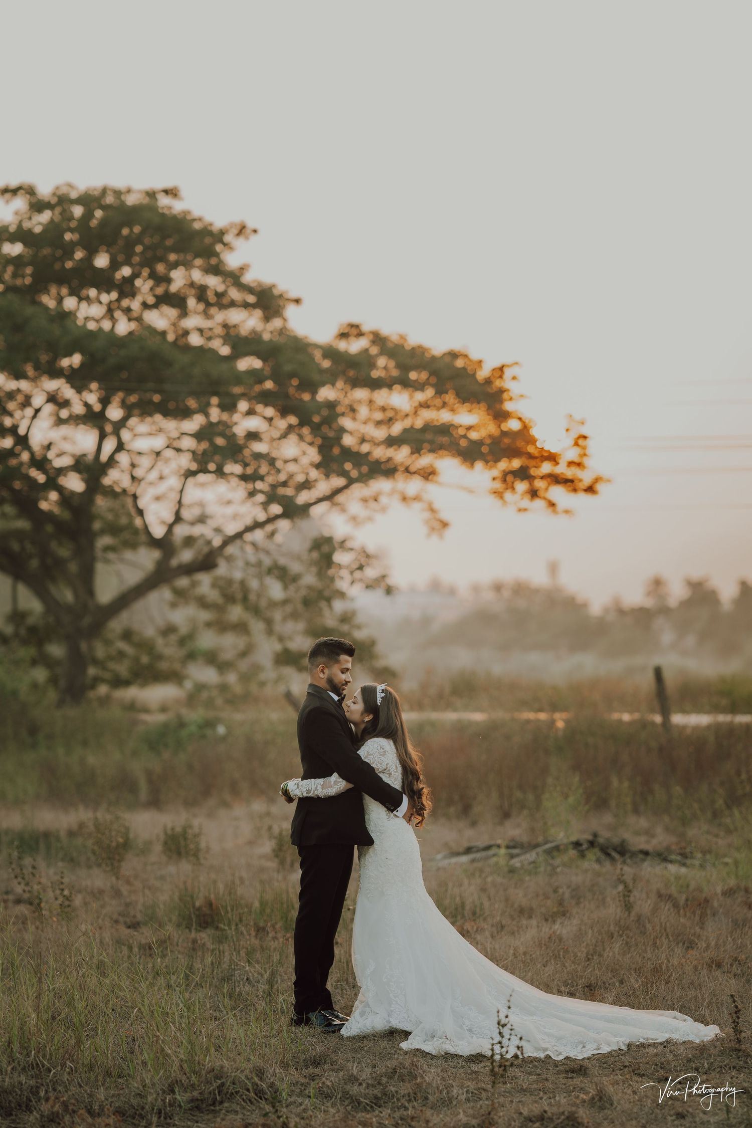 A couple shares an intimate moment at sunset in a grassy field with a large tree silhouetted against the golden sky.