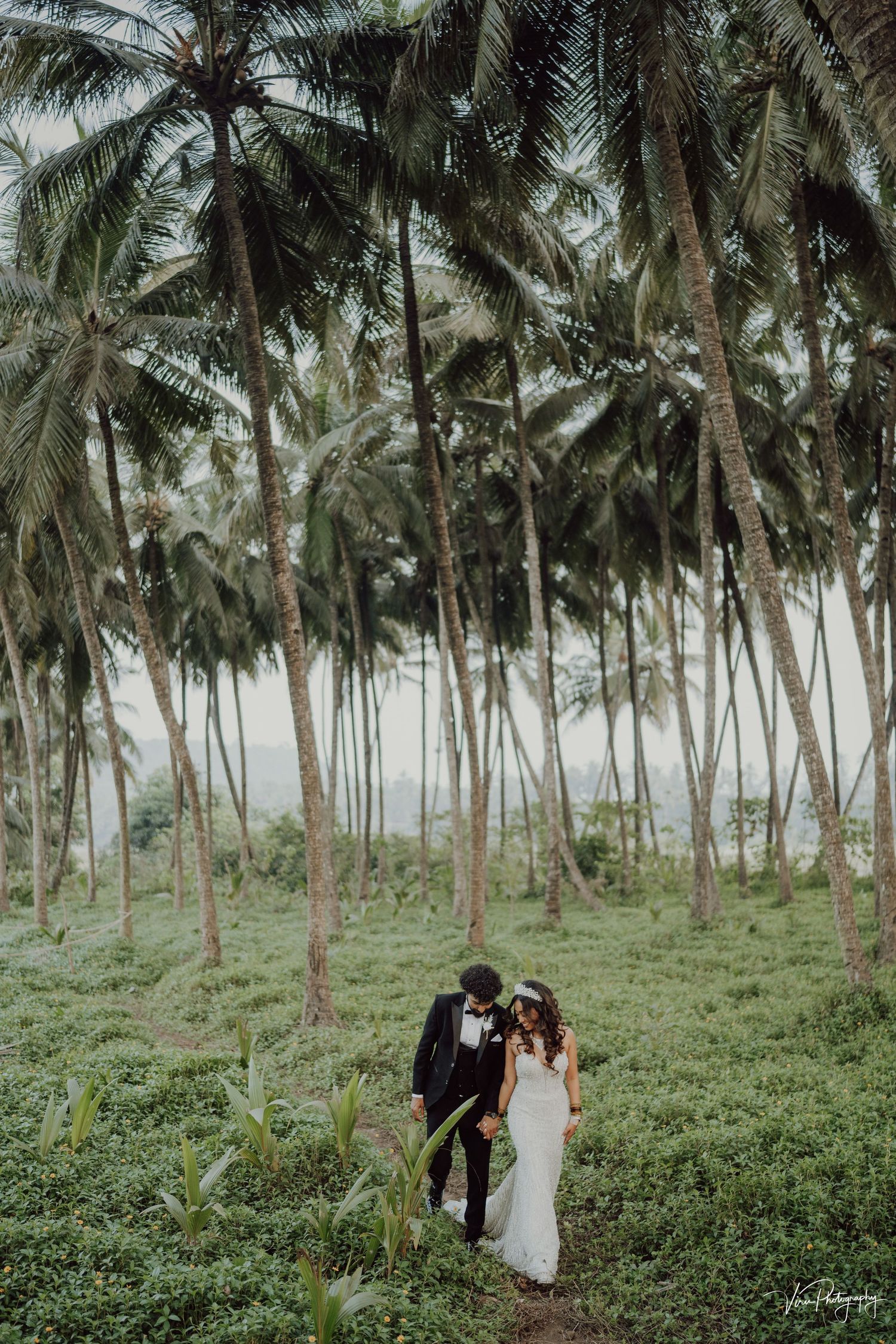 A couple in formal attire stand together in a lush palm tree grove surrounded by tropical greenery.