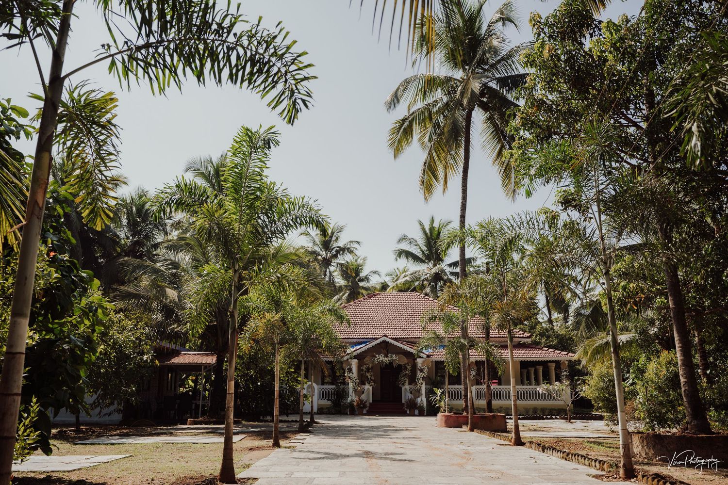 A tropical resort entrance with palm trees lining a pathway leading to a wooden building with thatched roof.