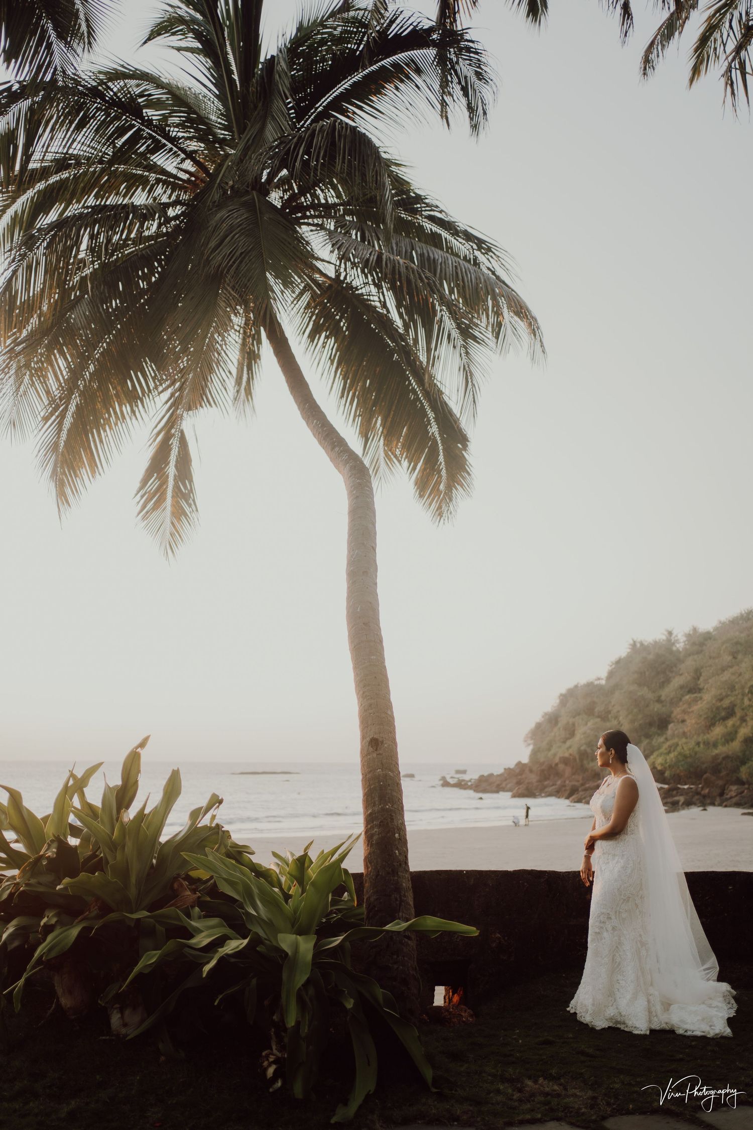 A serene beach wedding scene with a palm tree and black sand beach setting at dusk in a tropical location.