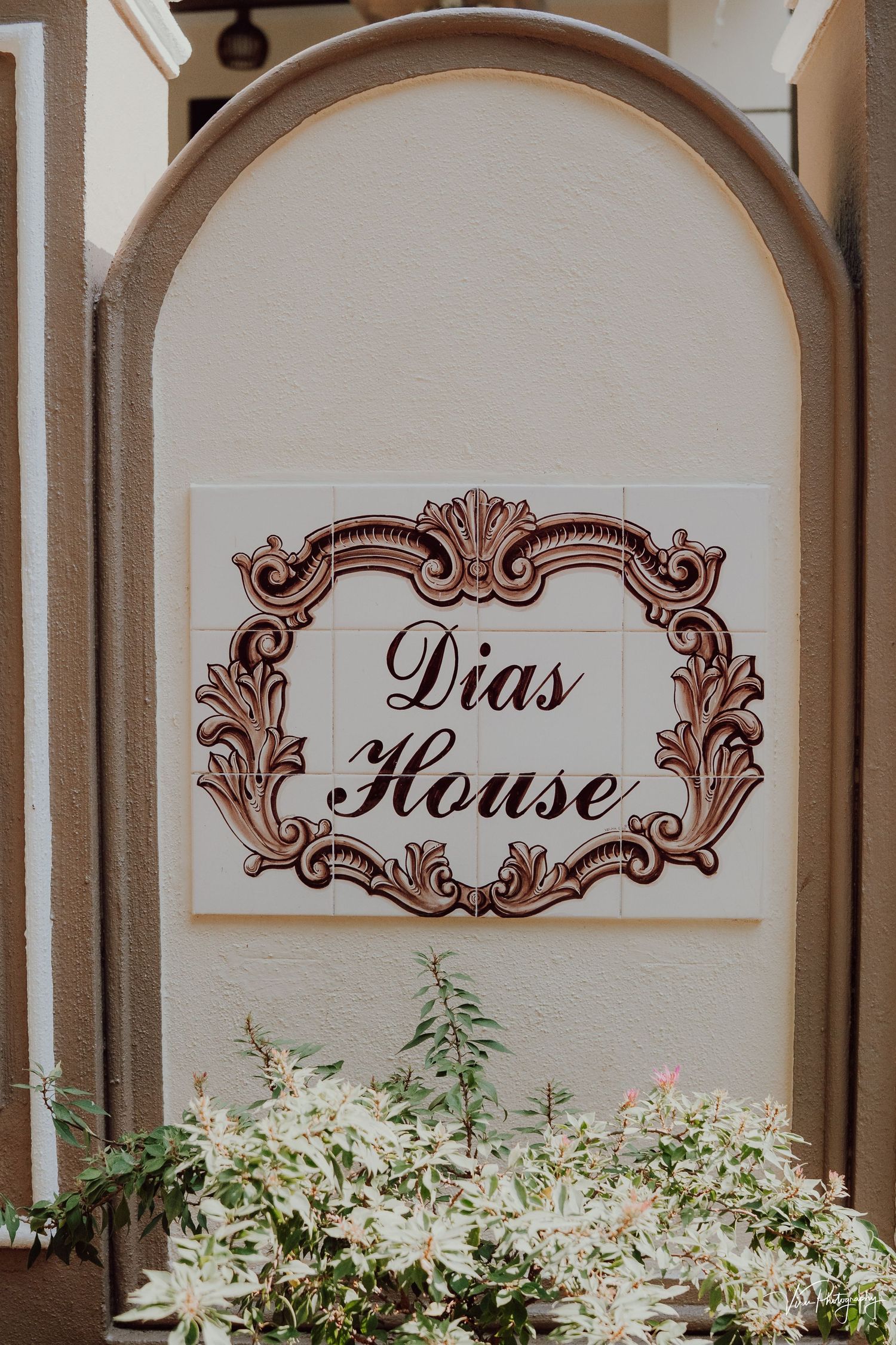 Ornate brown frame sign reading 'Dias House' mounted on white wall with delicate flowering plants below.