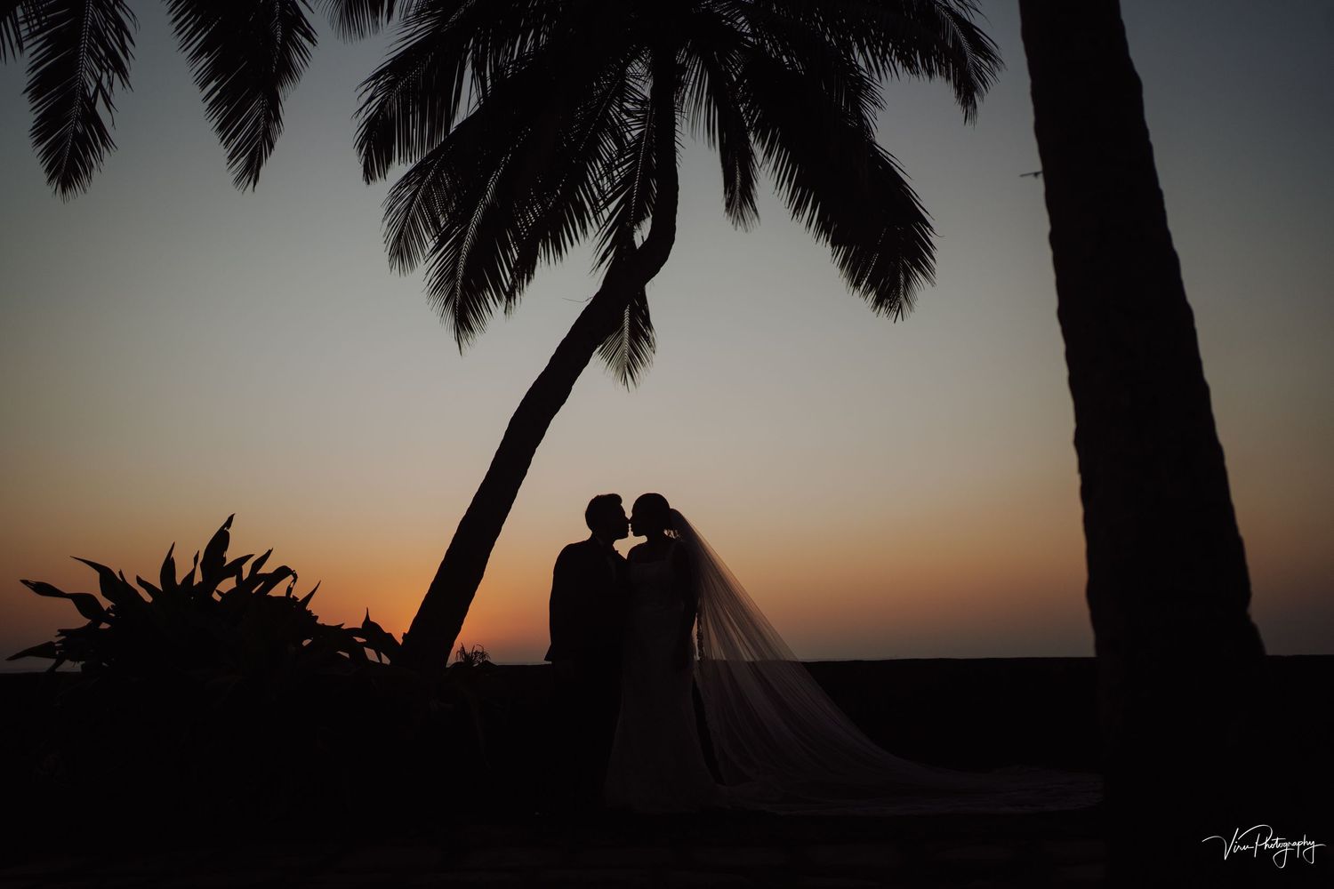 A silhouetted couple stands beneath palm trees against a vibrant tropical sunset sky.