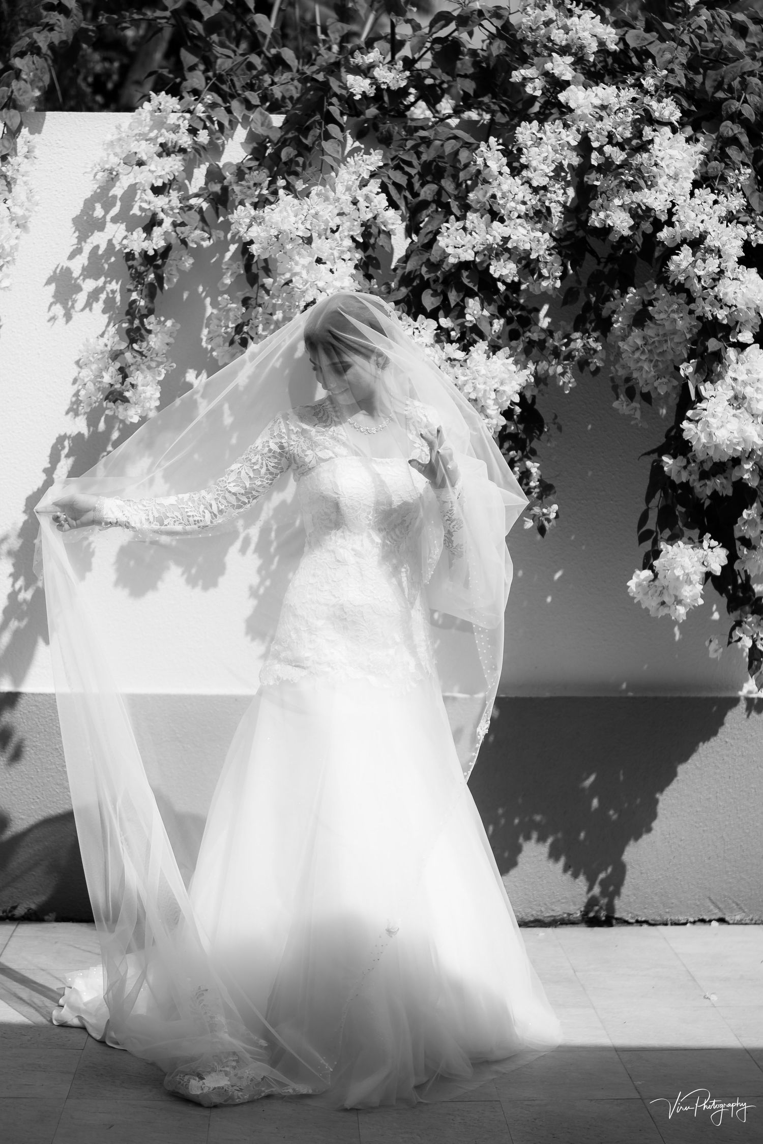 A bride in a flowing white gown and long veil stands under cascading white flowers against a white wall in black and white.