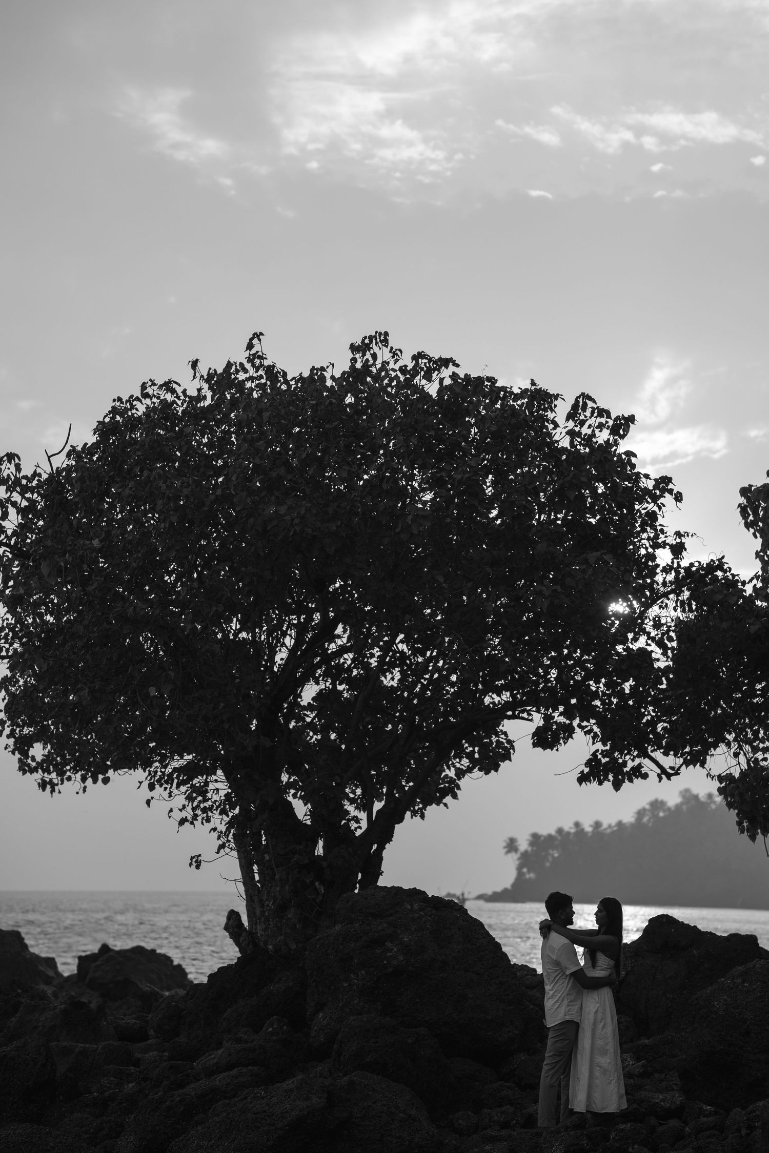 Silhouetted figures stand beneath a large tree on rocky coastline at sunset creating a dramatic black and white scene.