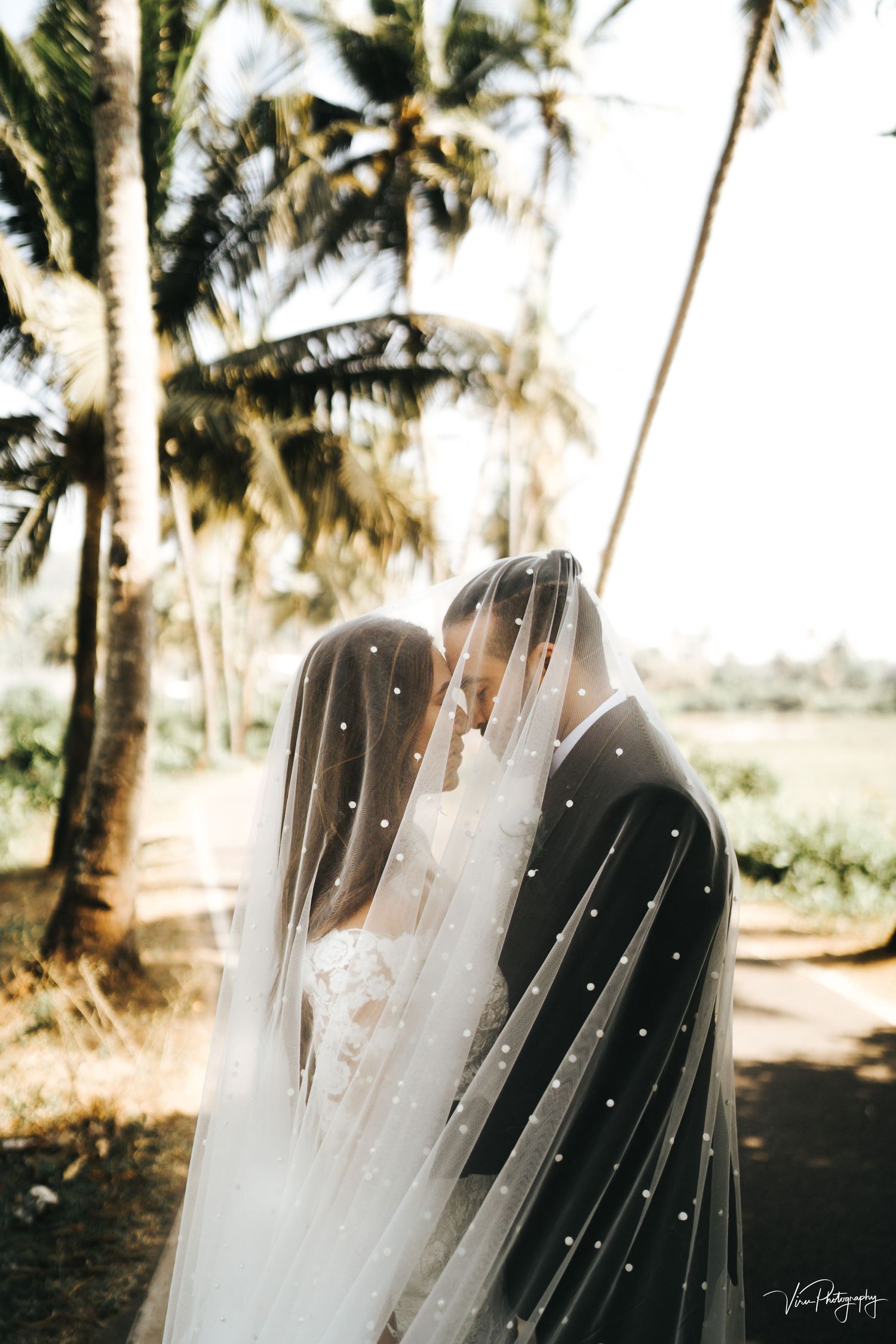 A romantic wedding photo silhouette under a veil with dotted details against palm trees in tropical setting.