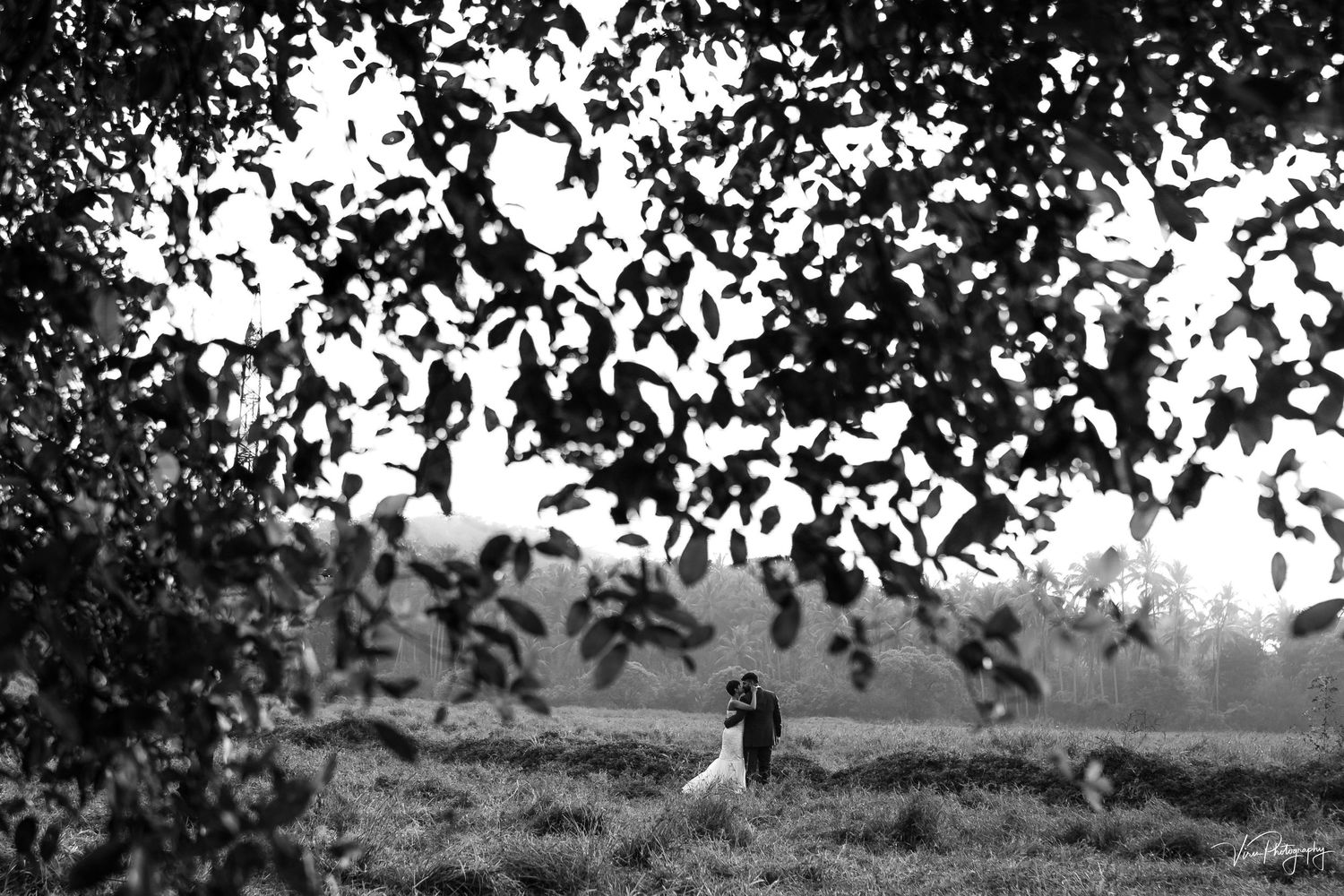A panoramic black and white landscape photograph showing a series of buildings and trees along a hillside.