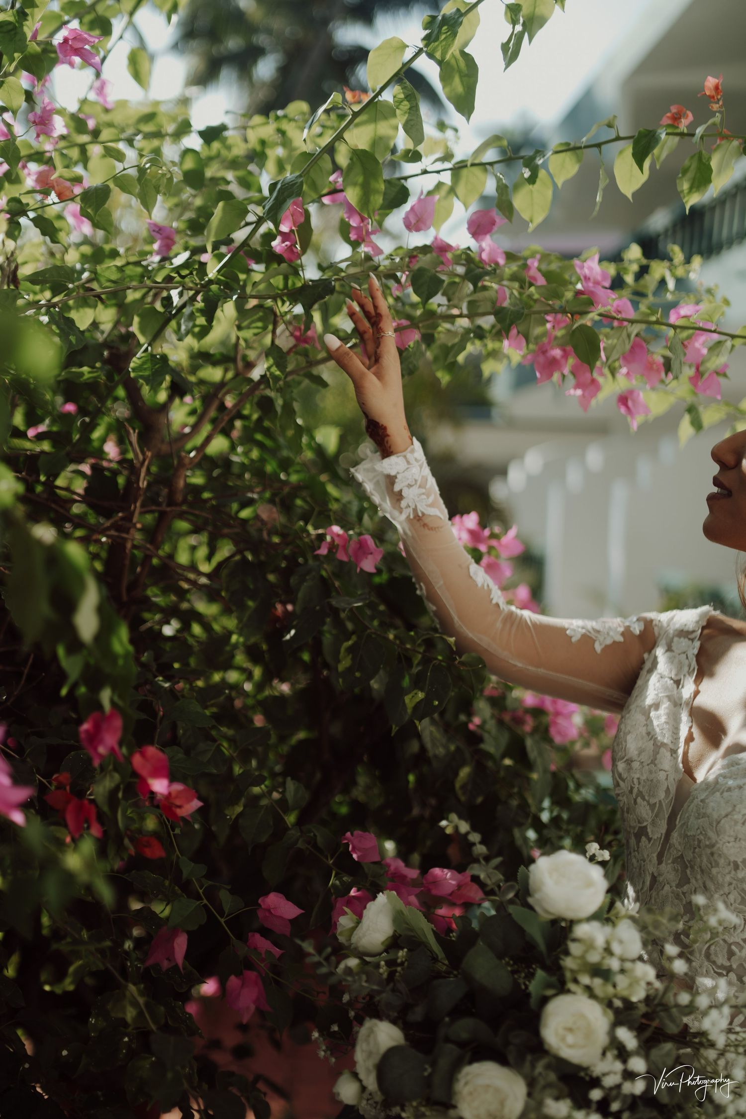 A delicate lace dress reaches toward pink bougainvillea flowers blooming against a white-walled backdrop.