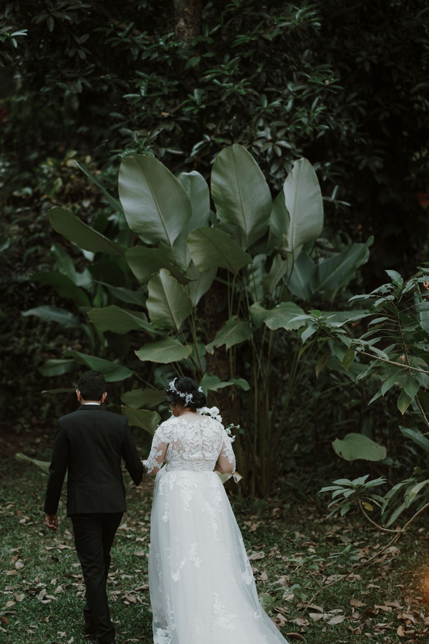 A couple walks through a tropical garden path surrounded by large green foliage.