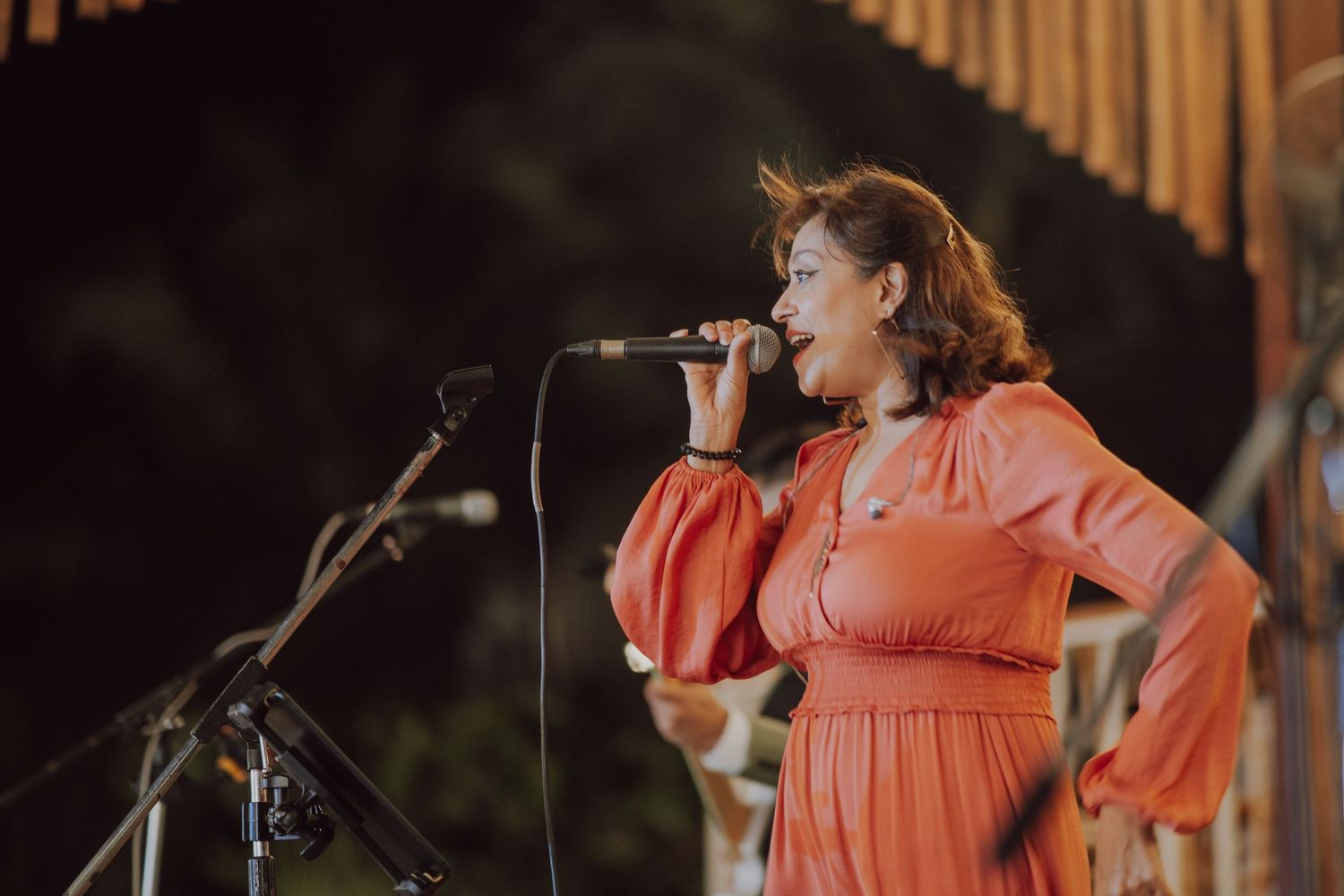 Singer performs in coral dress on stage during evening entertainment.