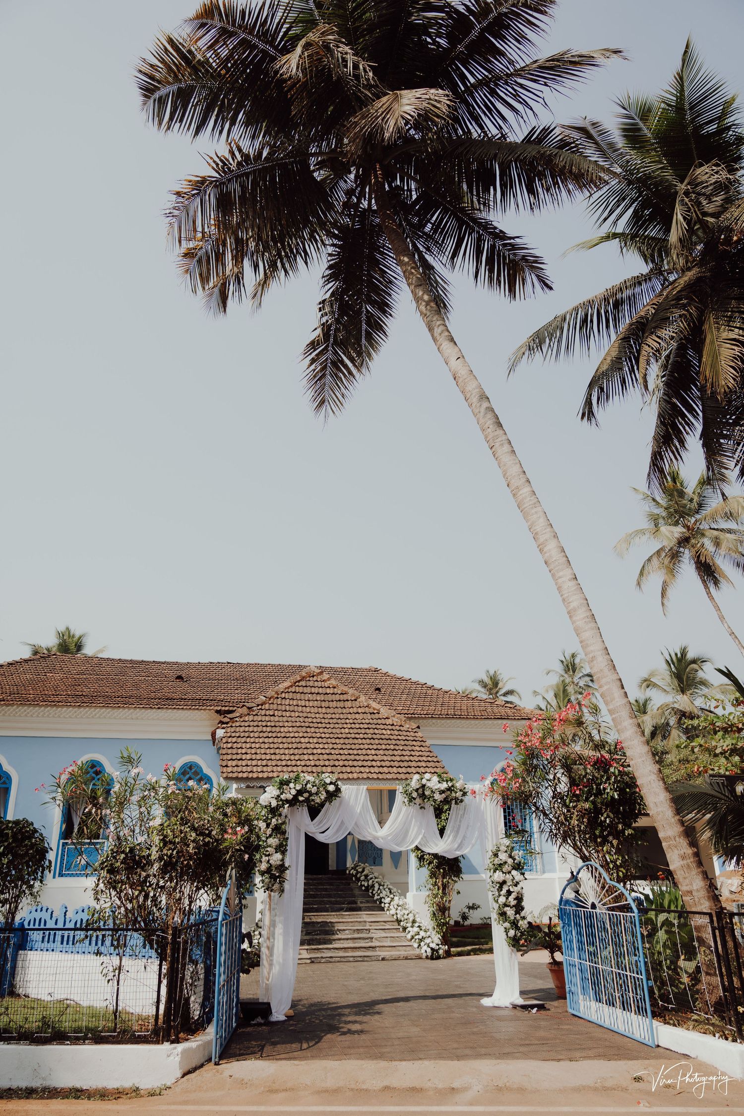 A palm tree arches over a white colonial villa with blue trim and decorative entrance gate in tropical setting.