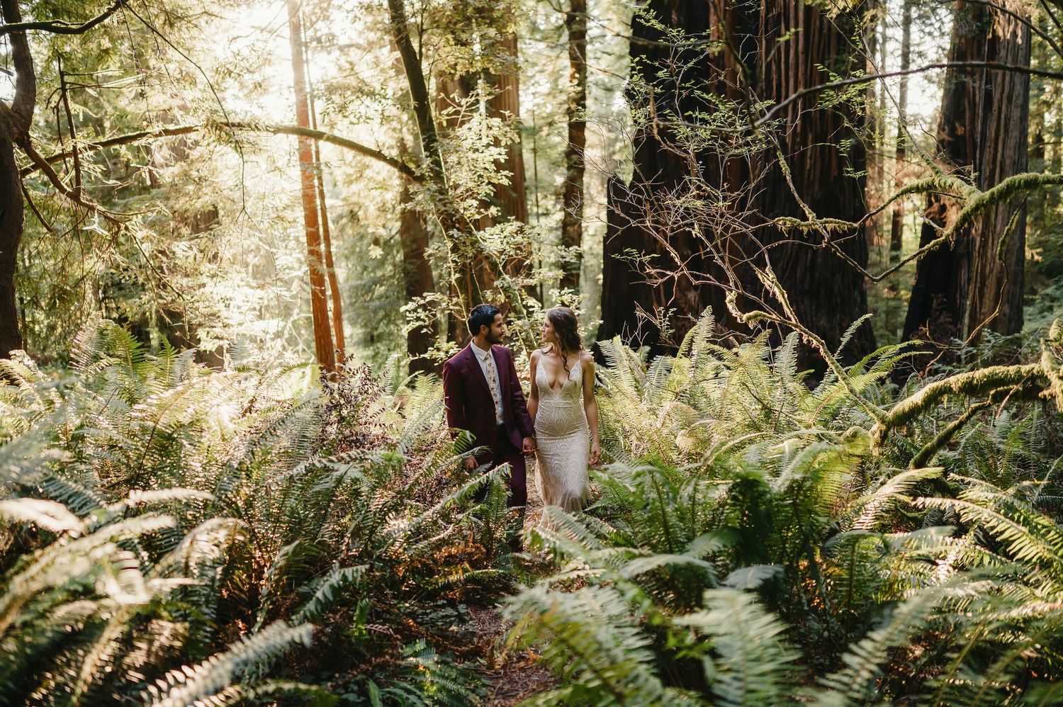 Lush green ferns and moss grow beneath towering evergreen trees in a misty Pacific Northwest forest landscape.