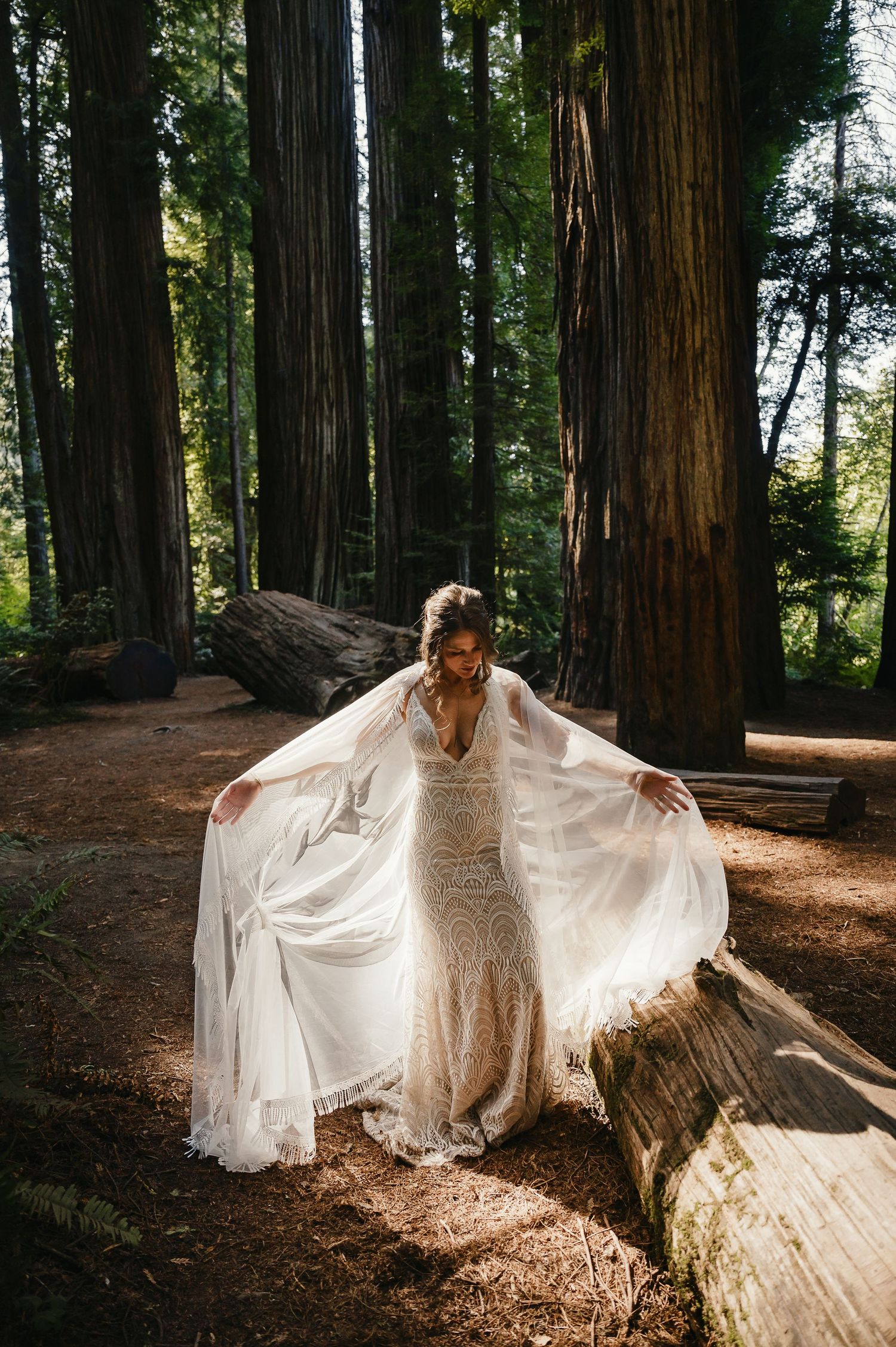 Bride in flowing lace dress poses ethereally amongst towering redwood trees as sunlight filters through the forest.