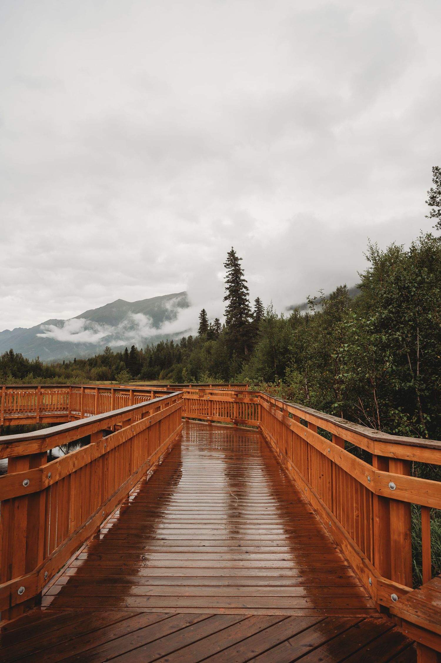 Wooden boardwalk viewing platform stretches into misty mountain landscape on a rainy day in Alaska.