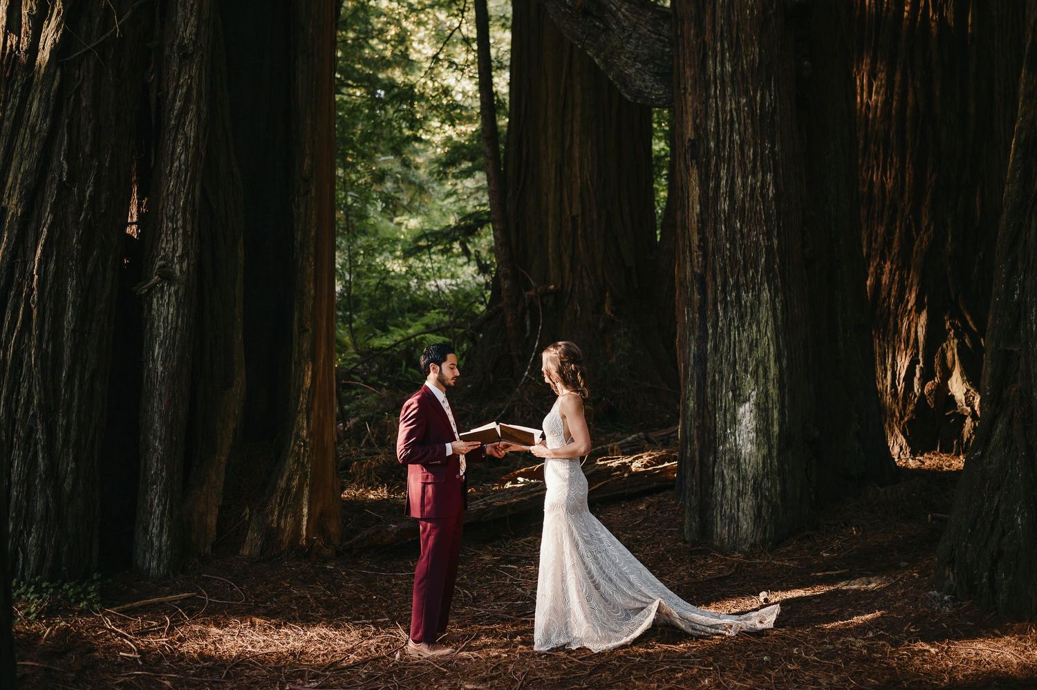 A couple takes romantic photos in a majestic redwood forest during sunset.