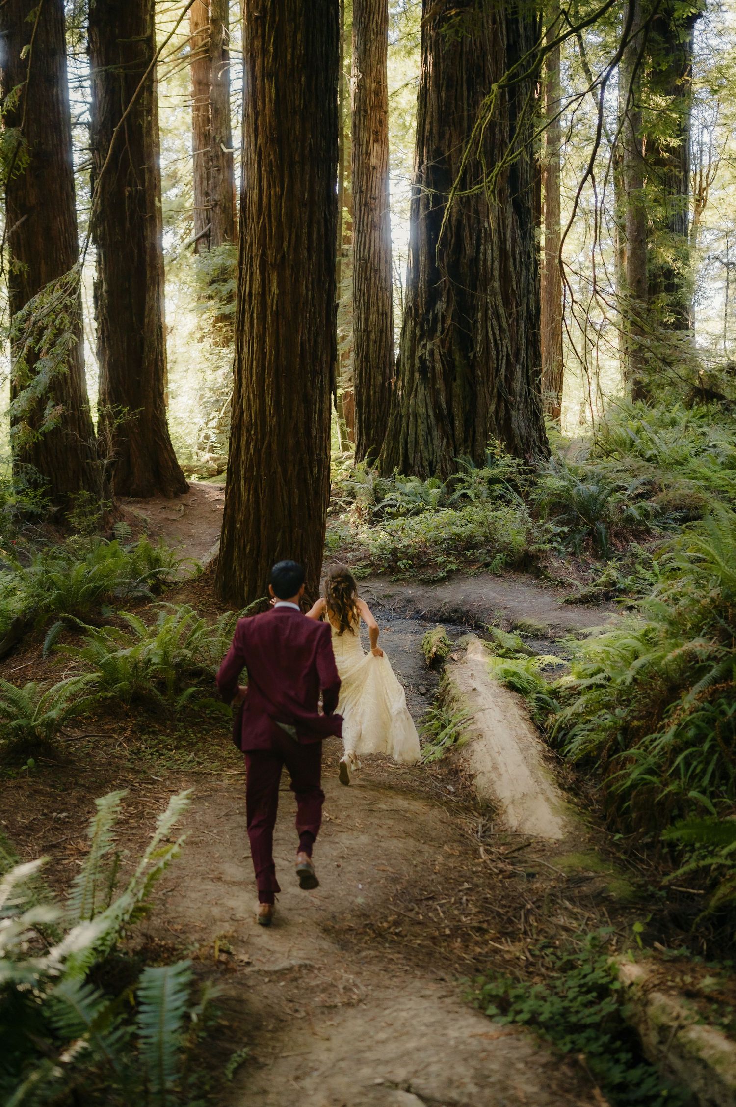 A couple walks hand in hand down a winding forest path surrounded by towering redwood trees and lush green ferns.