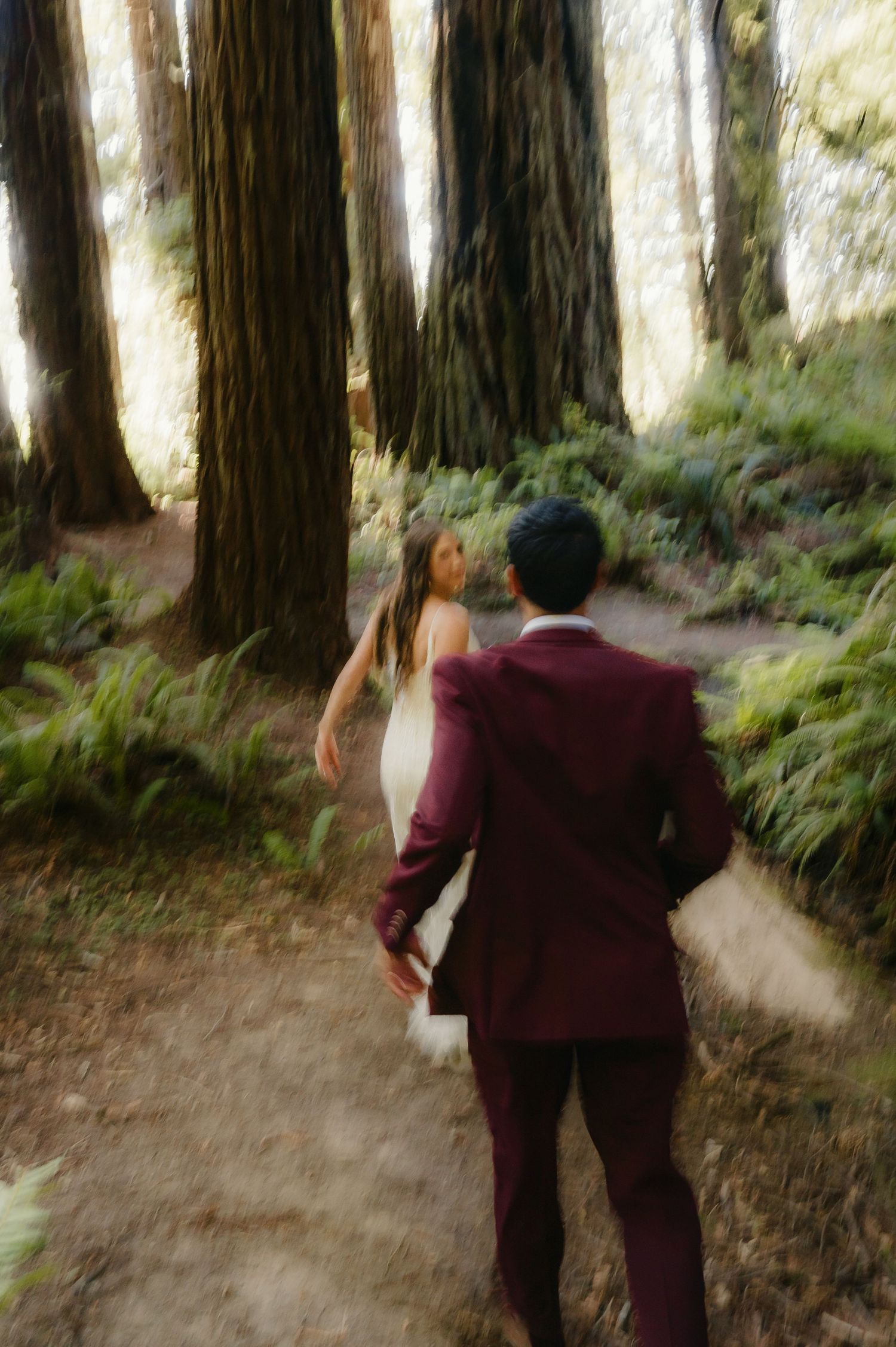 Wedding couple walking through a sunlit redwood forest path with ferns and tall trees.