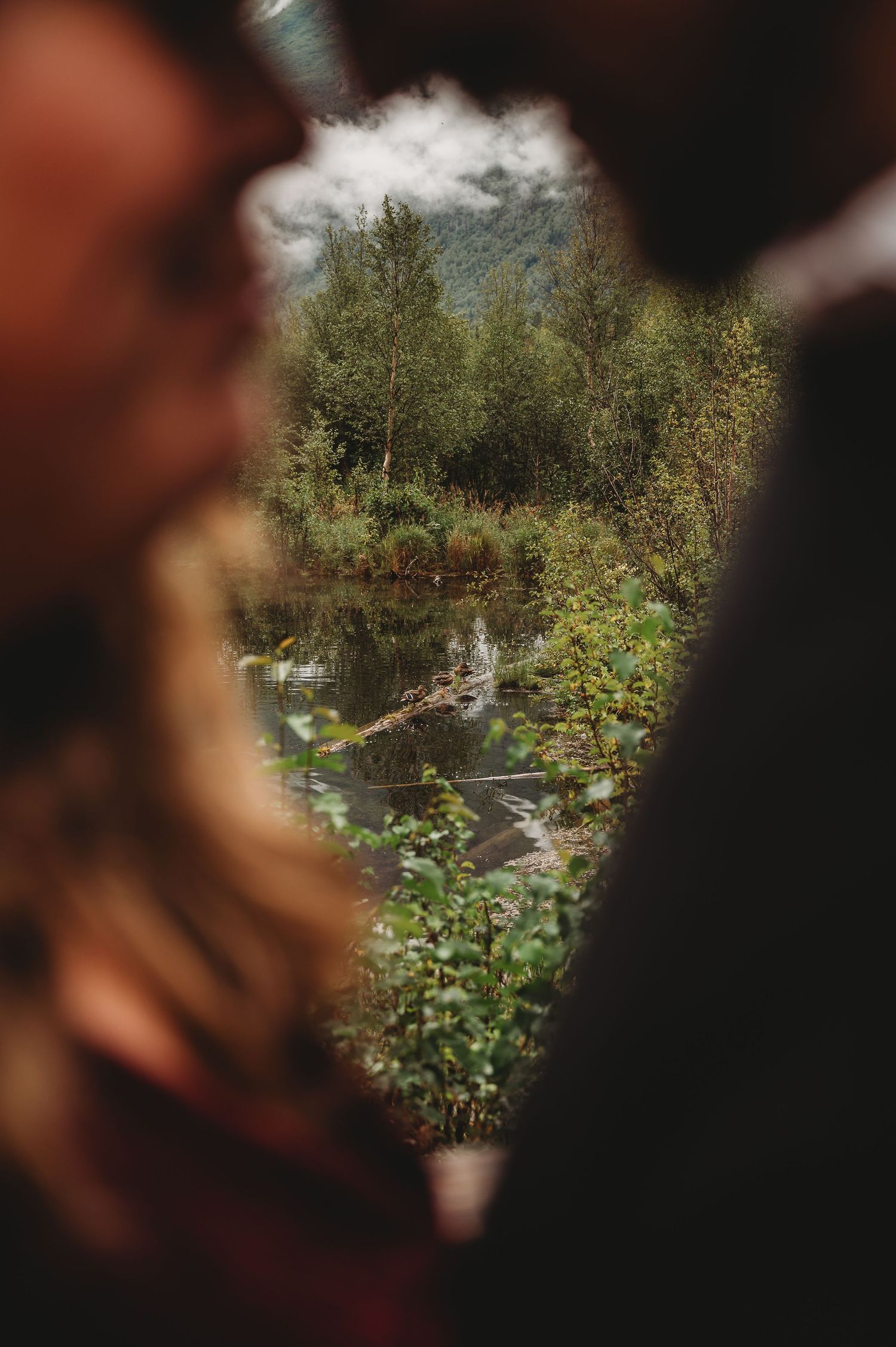 A scenic mountain stream viewed through a natural frame of trees and foliage.