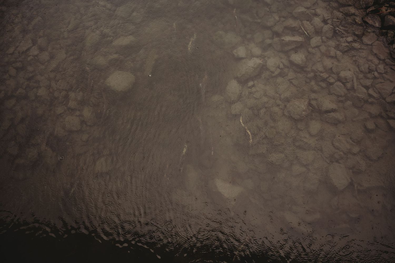 Raindrops creating circular ripples and patterns on dark water surface during rainfall.
