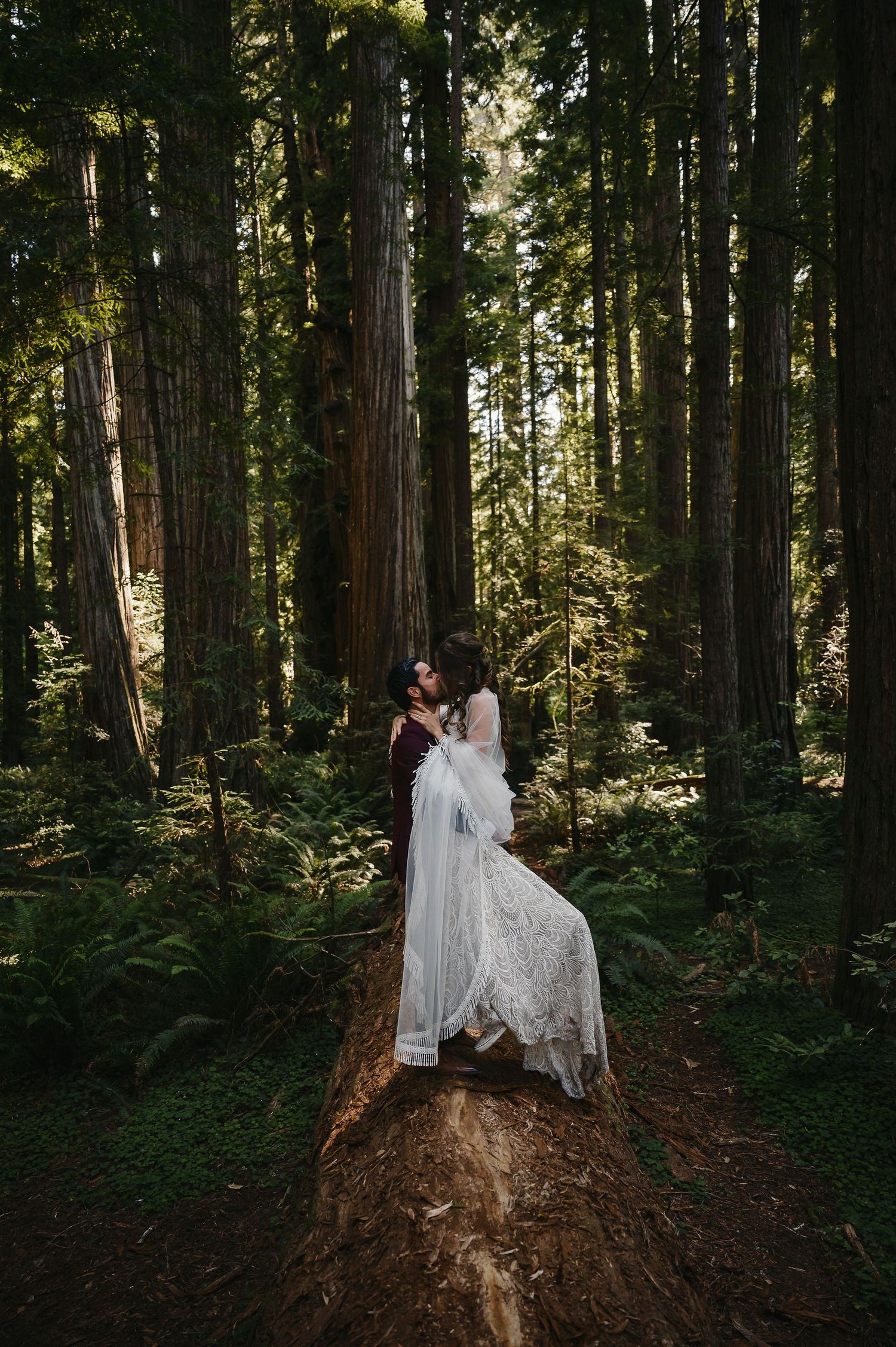 A couple shares an intimate moment on a redwood tree stump in a majestic forest setting at golden hour.