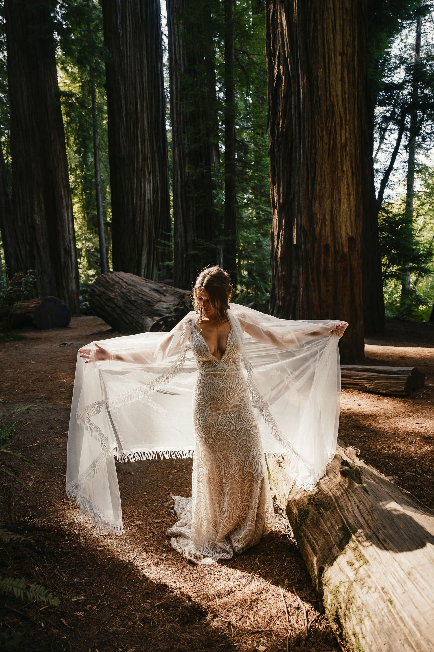 A person in a white lace wedding dress twirls gracefully among towering redwood trees in a sunlit forest setting.