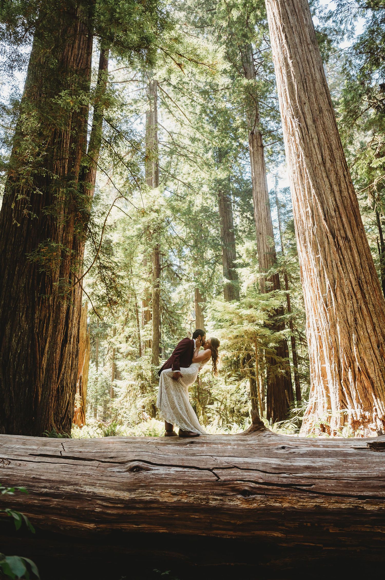 A couple embraces on a fallen redwood tree trunk in a majestic forest with sunlight filtering through tall trees.