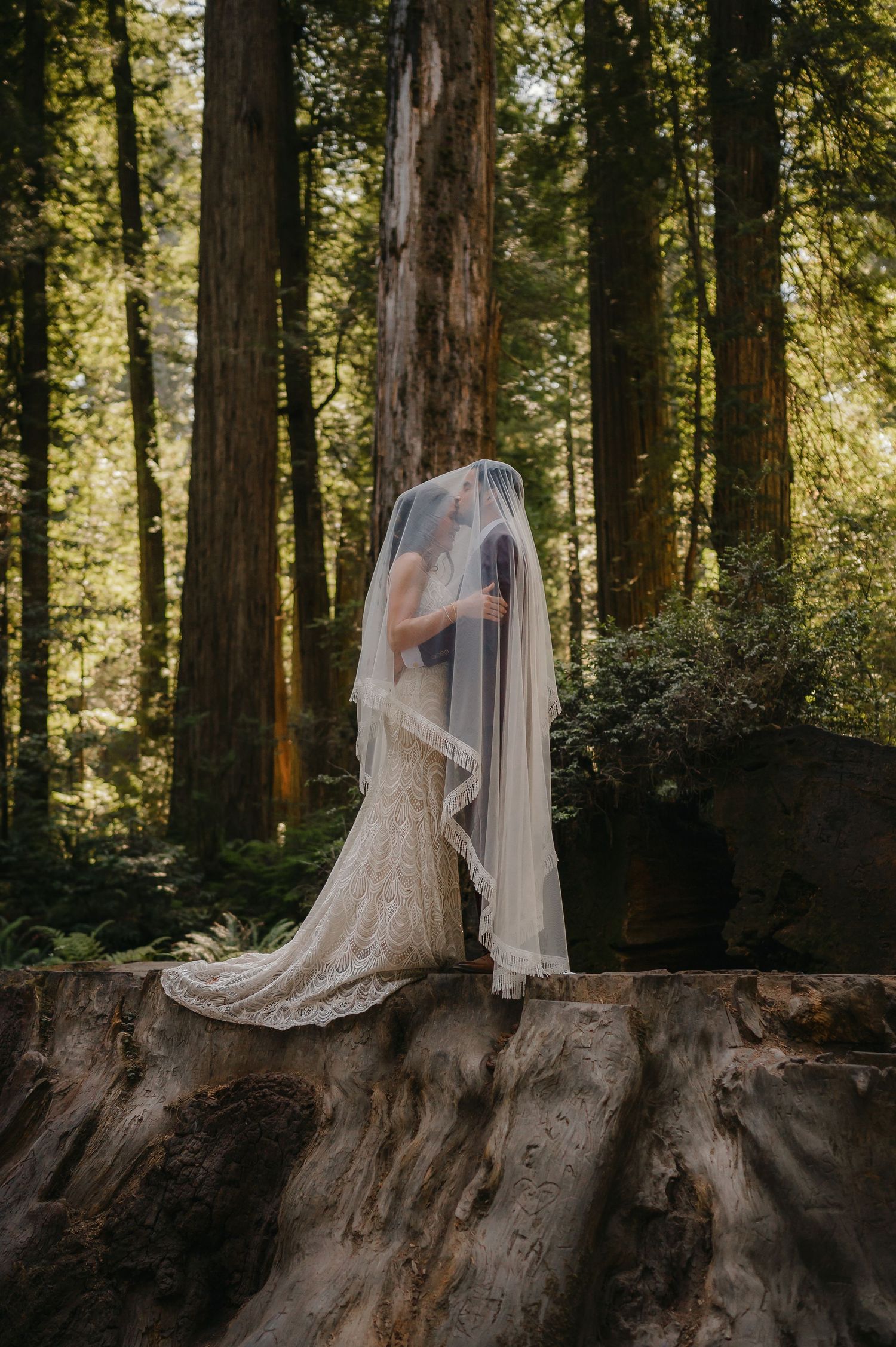 A figure in a white wedding dress poses on a large tree stump in a sunlit forest.