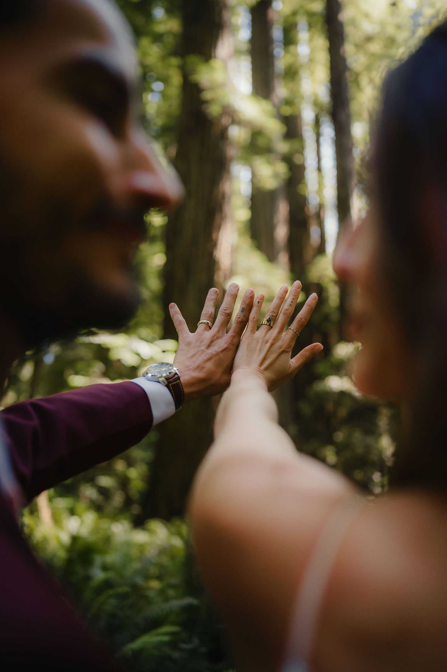 A couple touches hands with outstretched fingers in a sunlit forest setting creating a silhouetted connection.