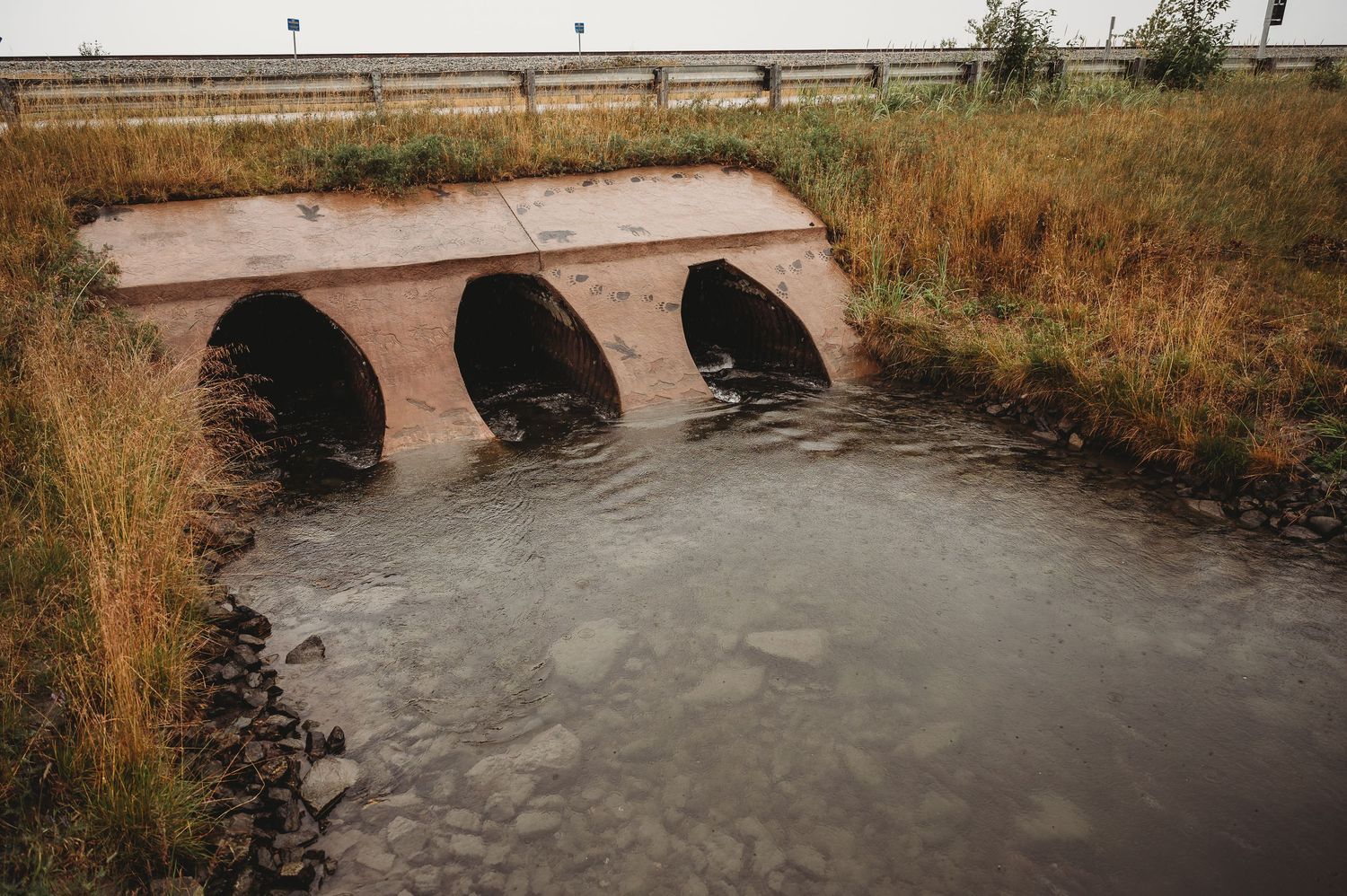 A paved stone bridge curved over a riverbank with dry grass and plants growing along the edges.