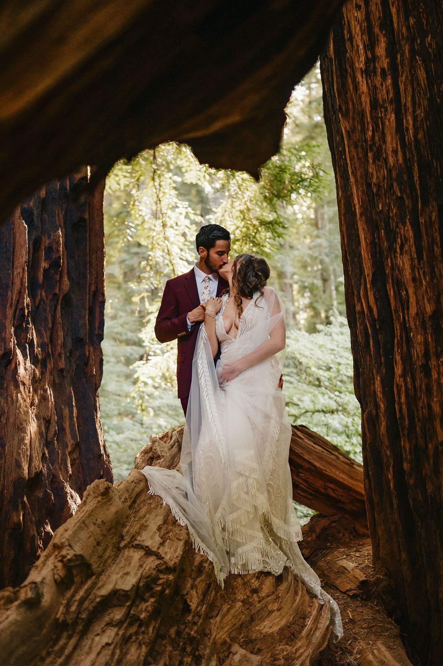 A romantic wedding photo captured inside a hollow redwood tree trunk with soft natural lighting filtering through.