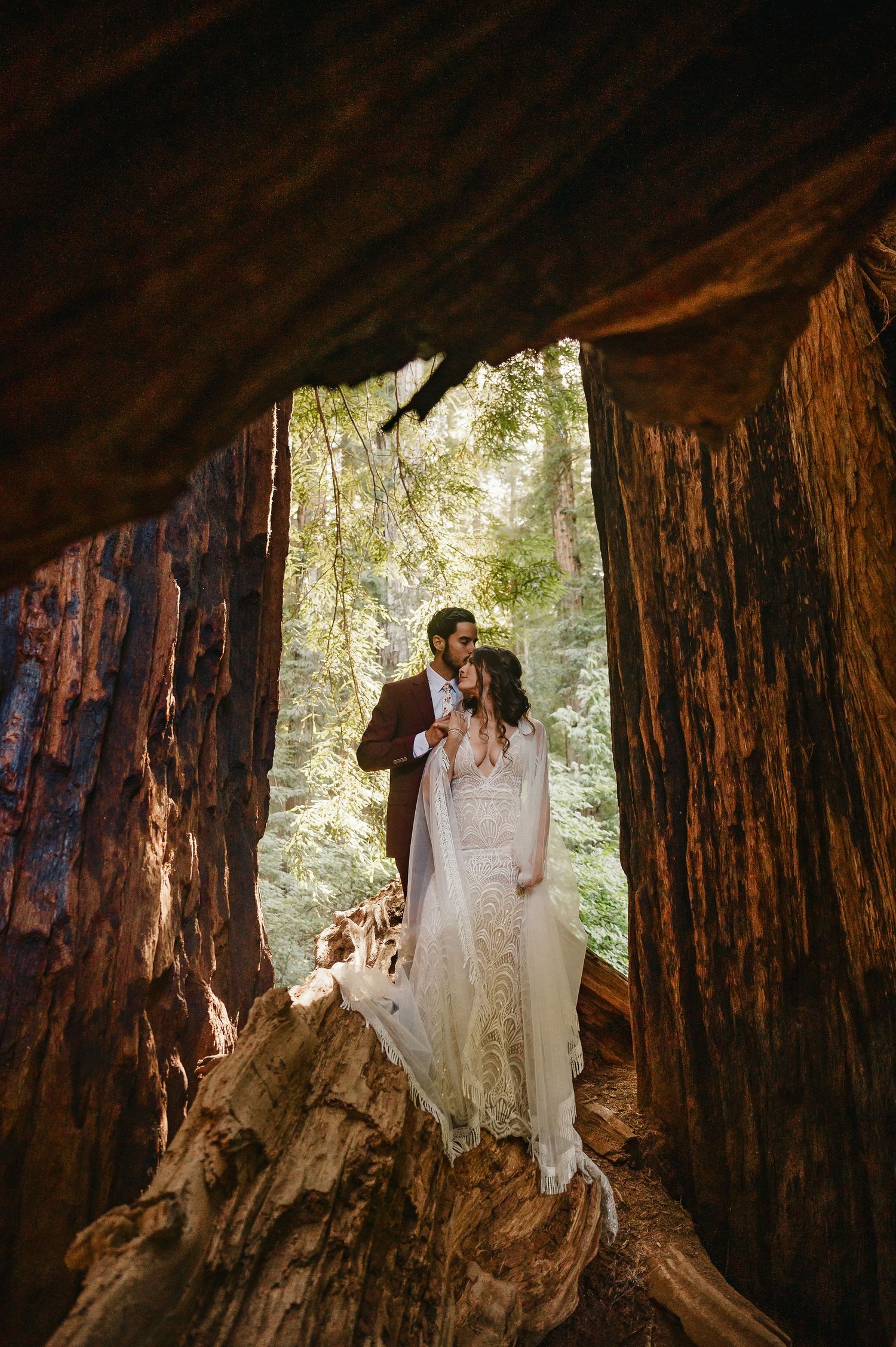 A romantic wedding portrait captured inside a hollowed redwood tree trunk with soft natural lighting streaming through.