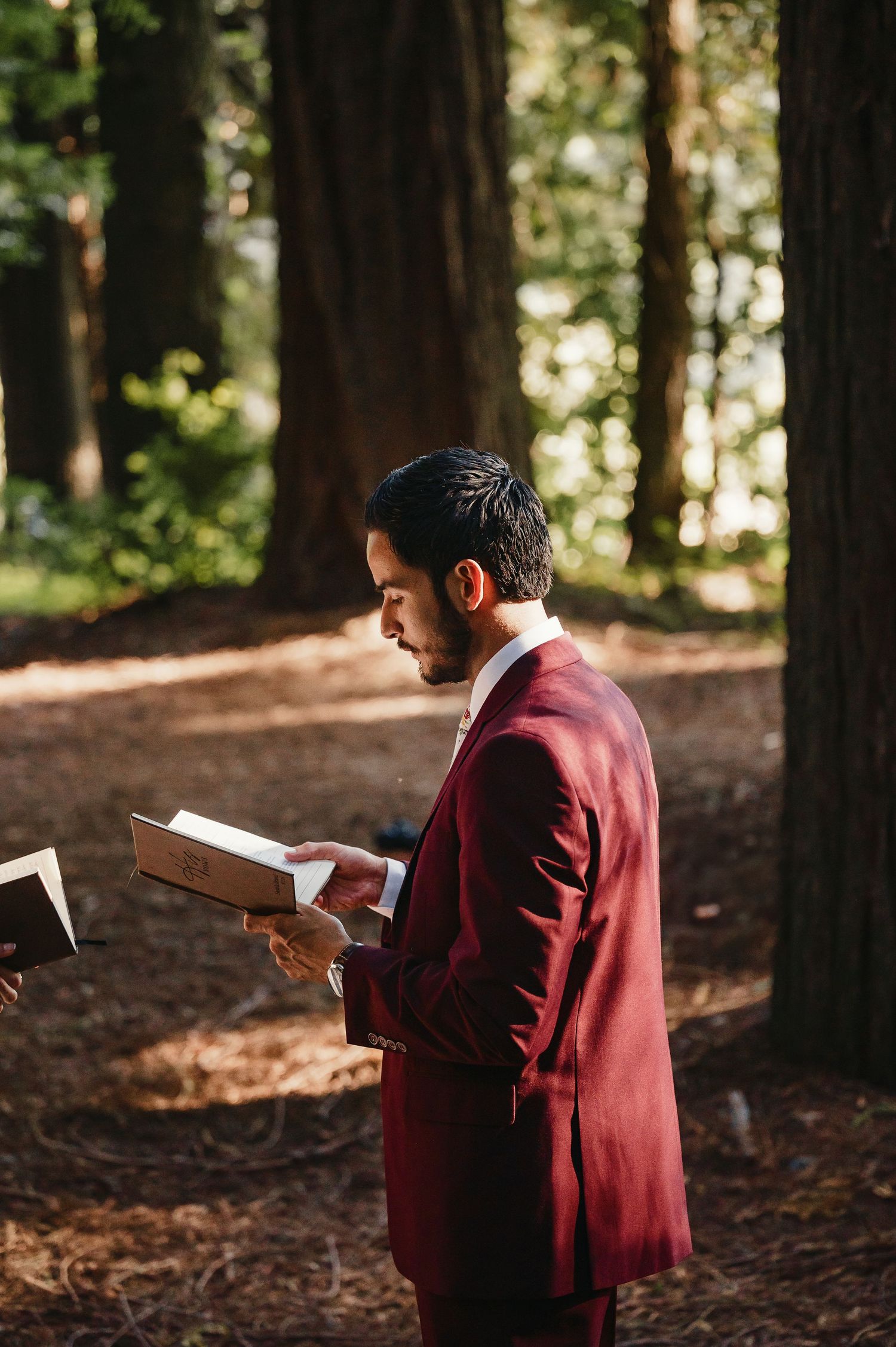 Person in burgundy blazer reading a book while standing in a serene redwood forest with dappled sunlight.