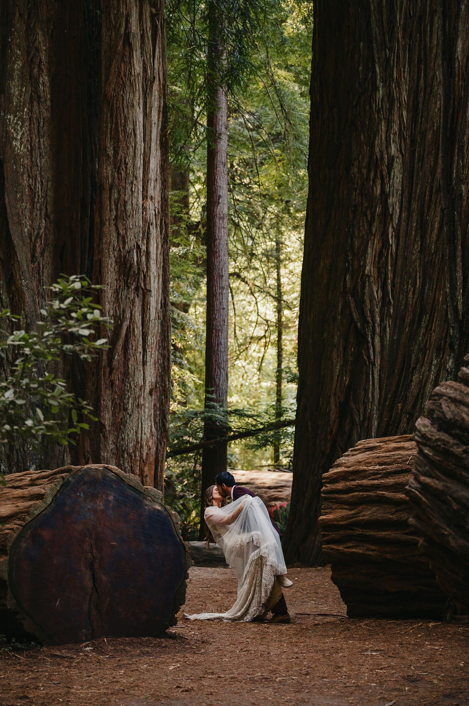 A figure in a flowing white dress stands between massive redwood trees on a forest path in ethereal lighting.