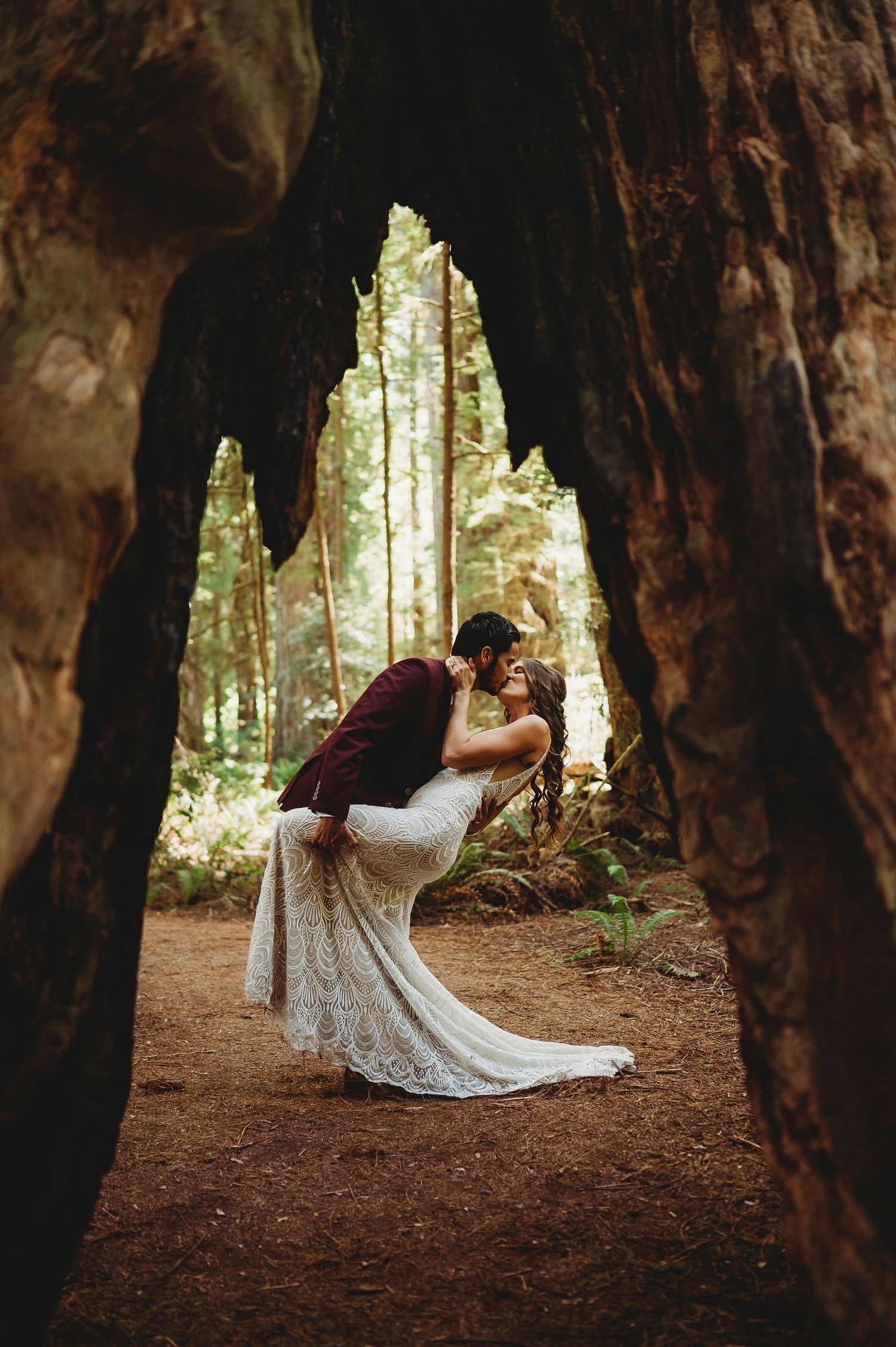 A romantic embrace between a couple illuminated by sunlight filtering through tall redwood trees in a forest setting.