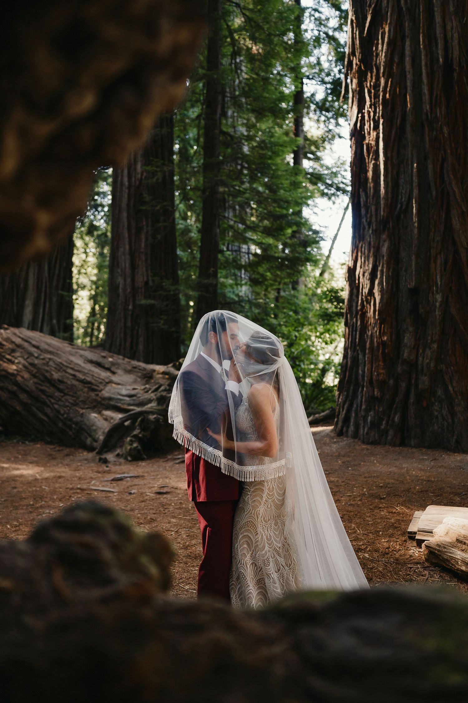 A romantic wedding couple embracing among towering redwood trees in a serene forest setting.
