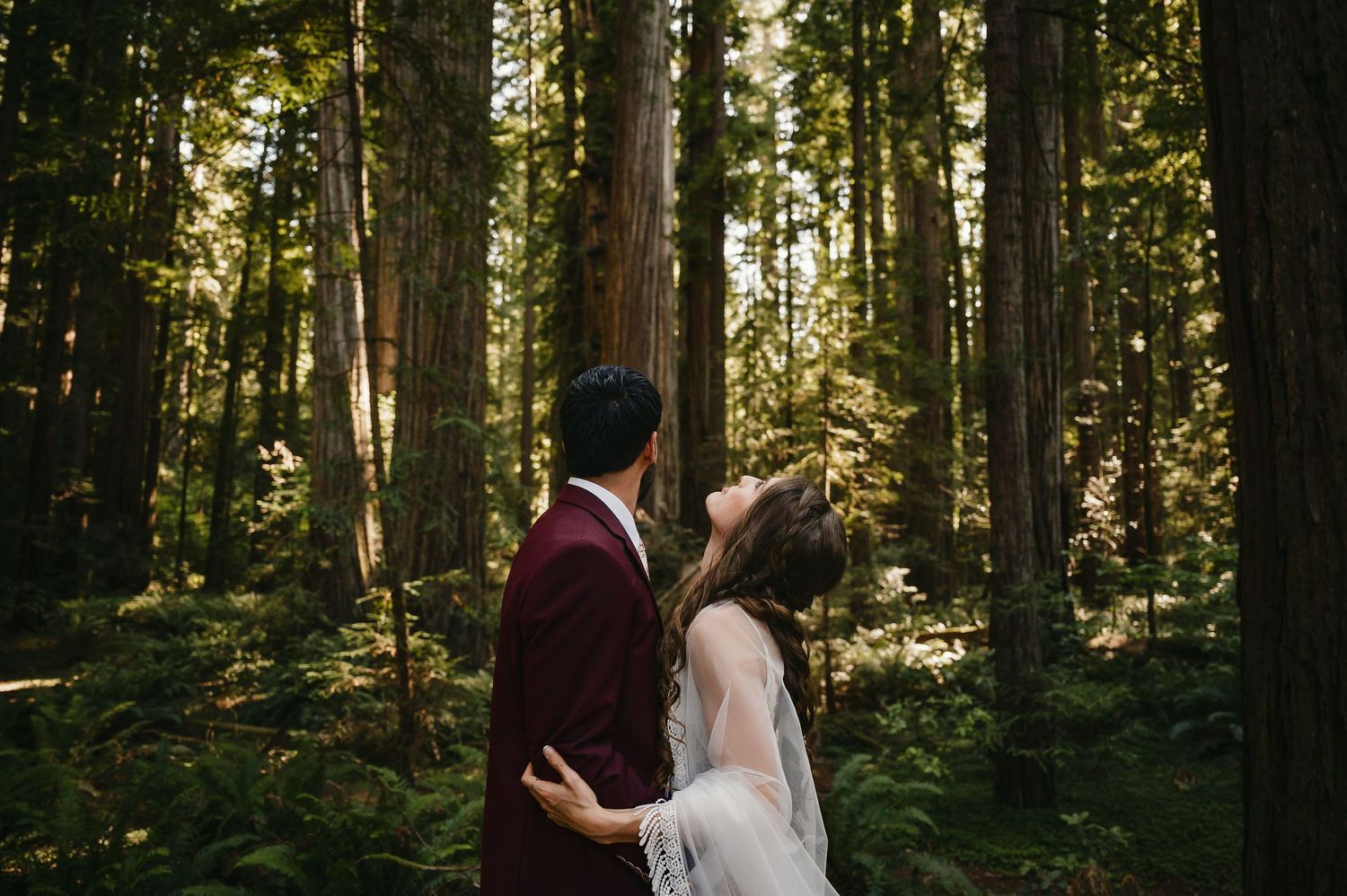 A couple holds hands and walks through a sunlit forest with tall evergreen trees creating a romantic atmosphere.
