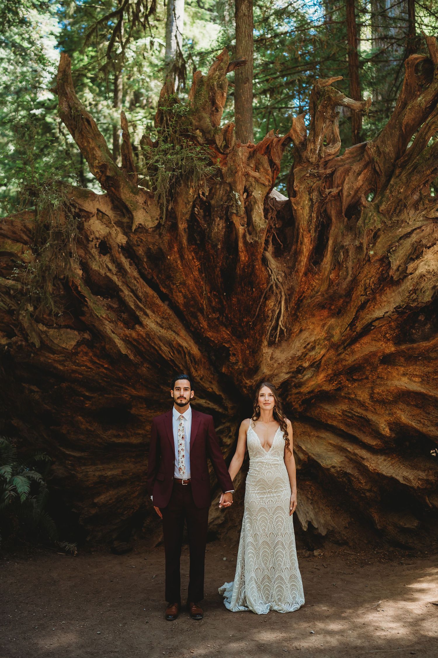 A couple stands in front of a massive fallen redwood root system in a forest setting.