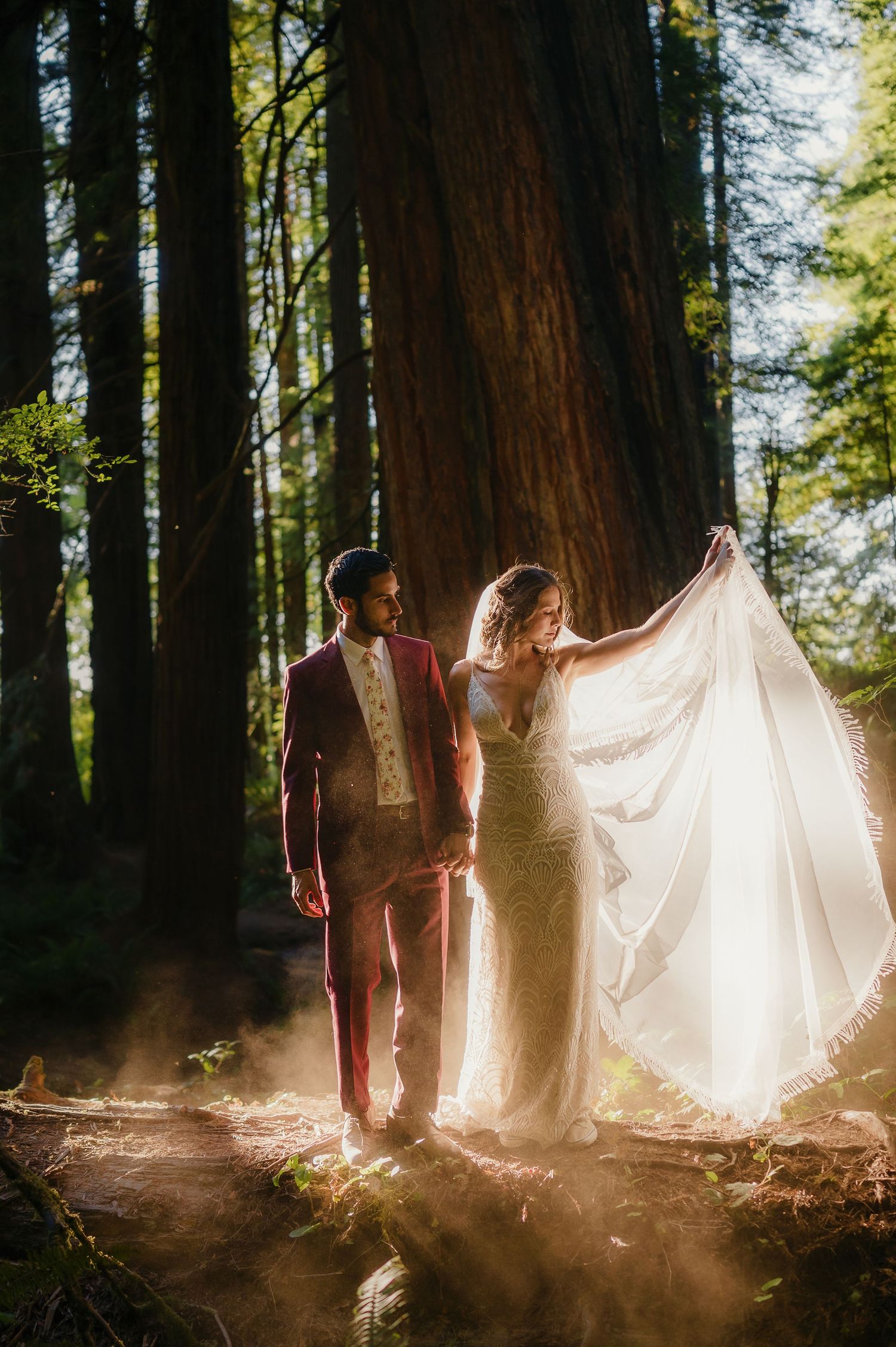 Ethereal foggy forest scene with sun rays shining through a white fabric held between figures in a redwood grove.