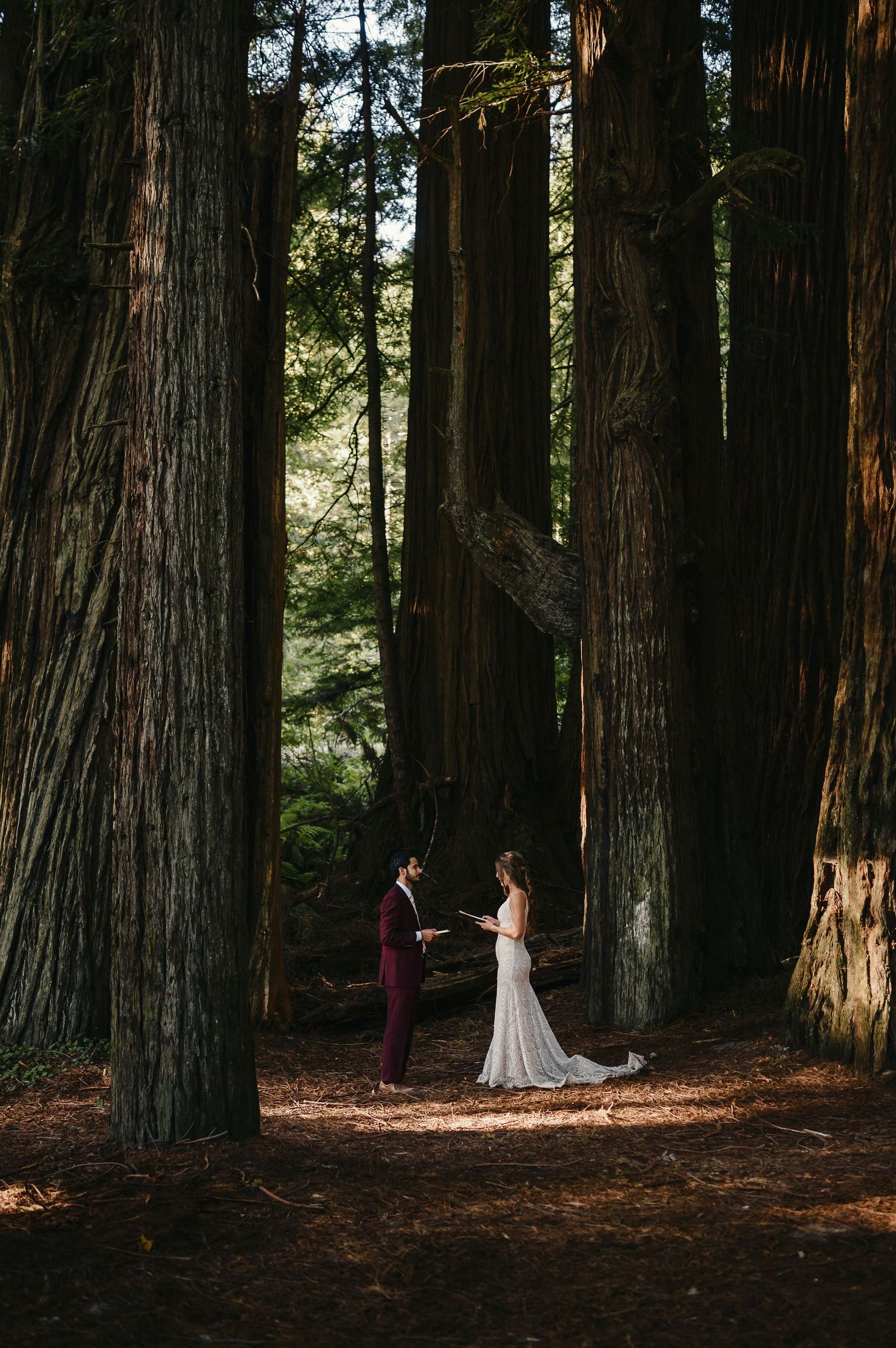 A couple stands together in a romantic moment among towering redwood trees in a sunlit forest.