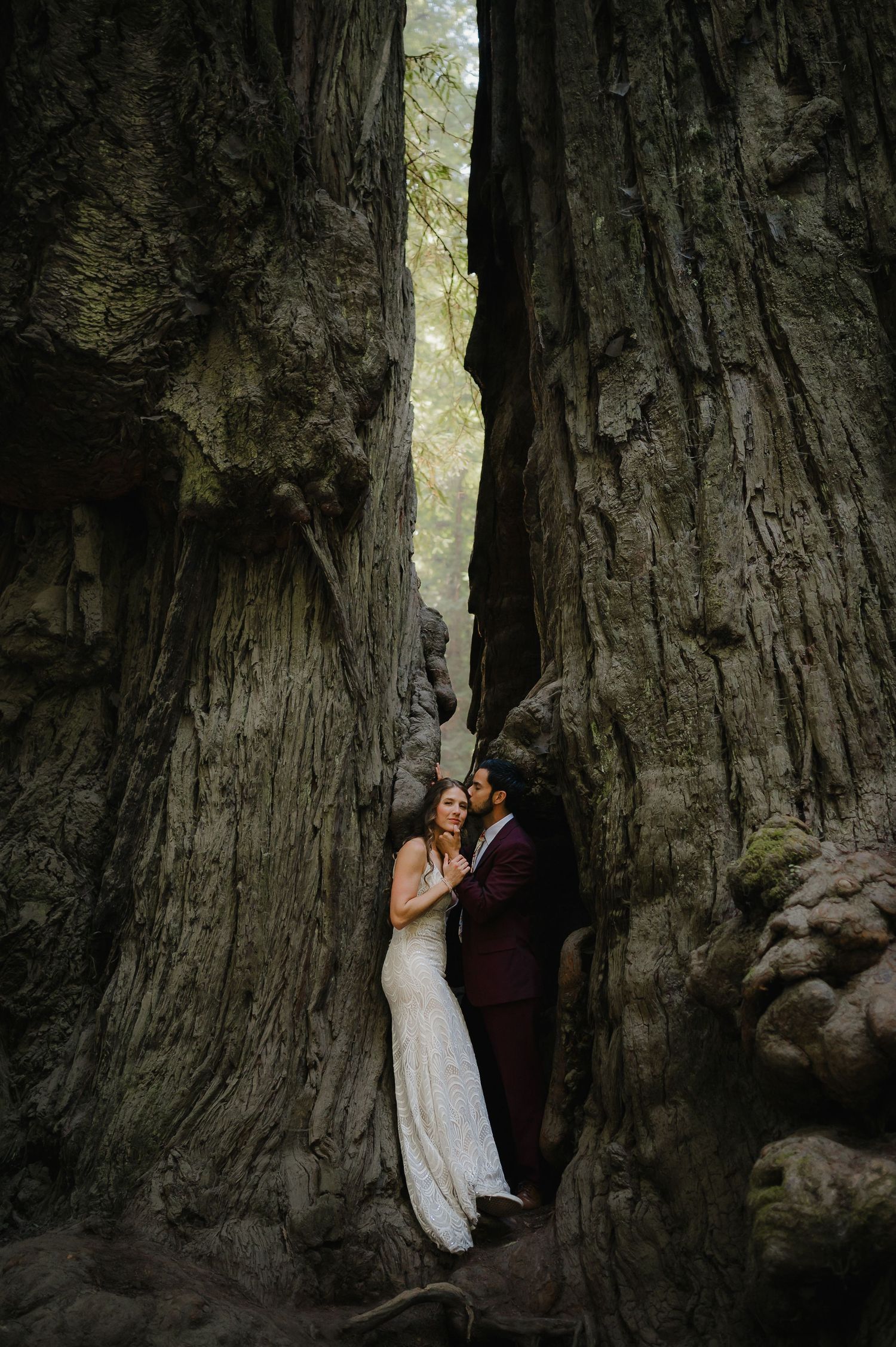 A romantic wedding photo series captured in a grove of towering redwood trees showing intimate moments between the couple.