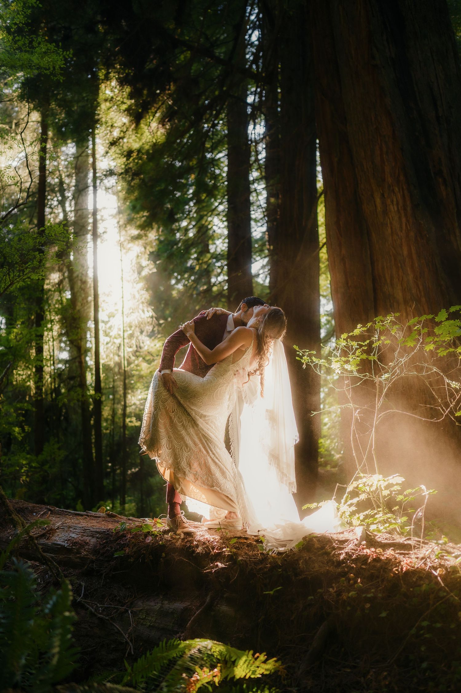 Ethereal sunlit forest scene with flowing white fabric creating a dreamy silhouette among tall redwood trees.