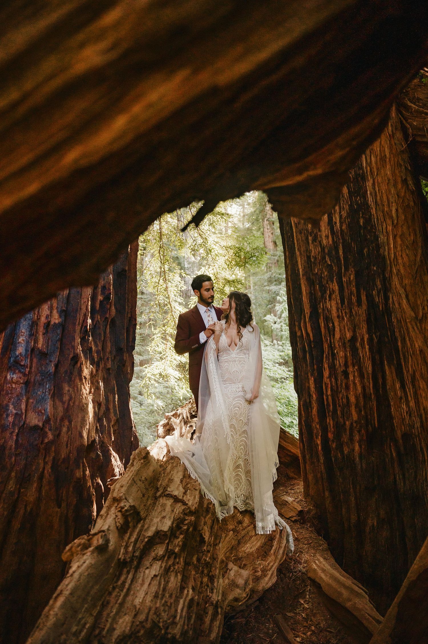 Wedding couple embraces in a dramatic hollow tree trunk framed by towering redwoods in a forest setting.