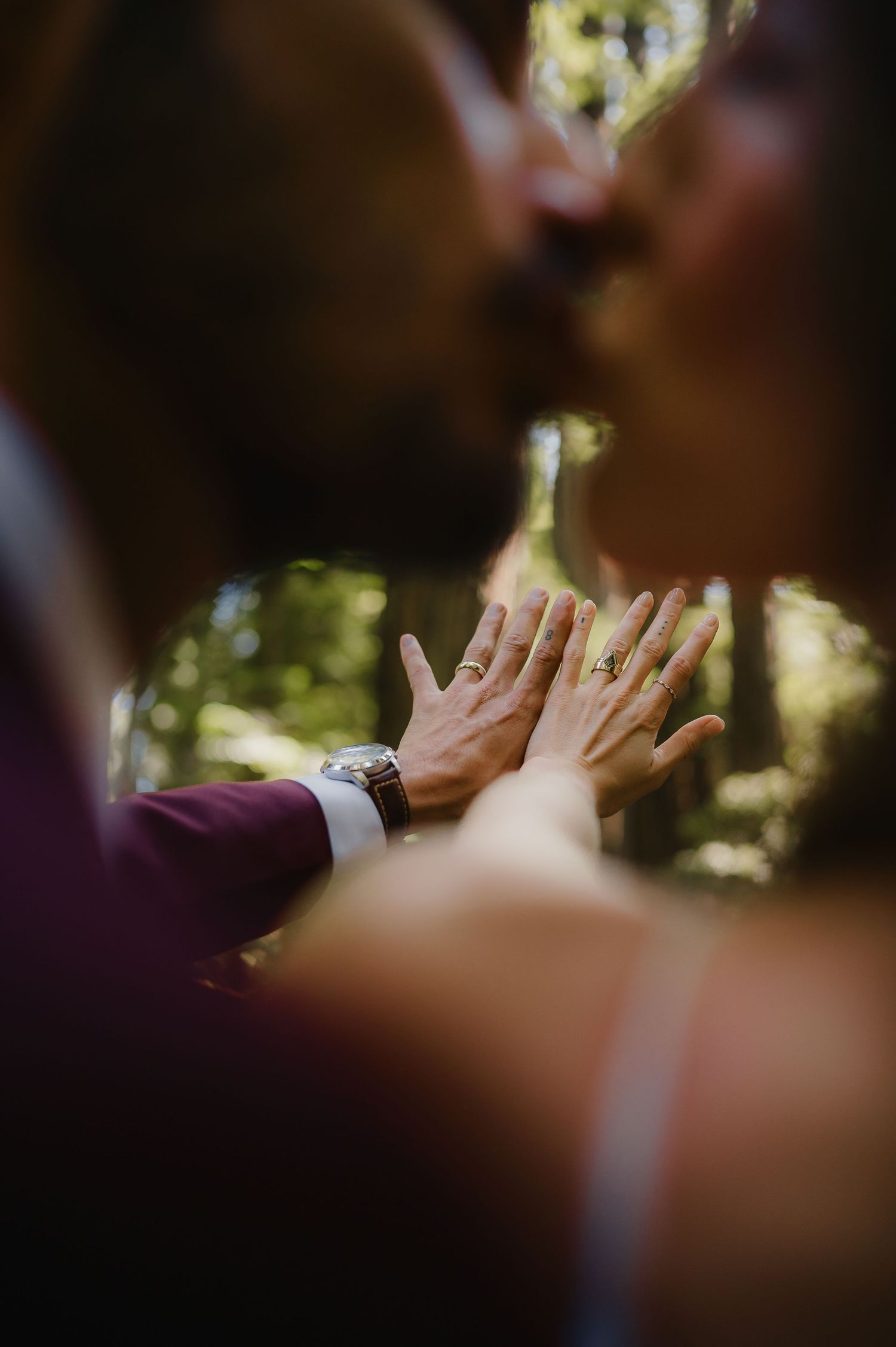 A series of high fives between hands in an outdoor setting with sunlit trees in the background.