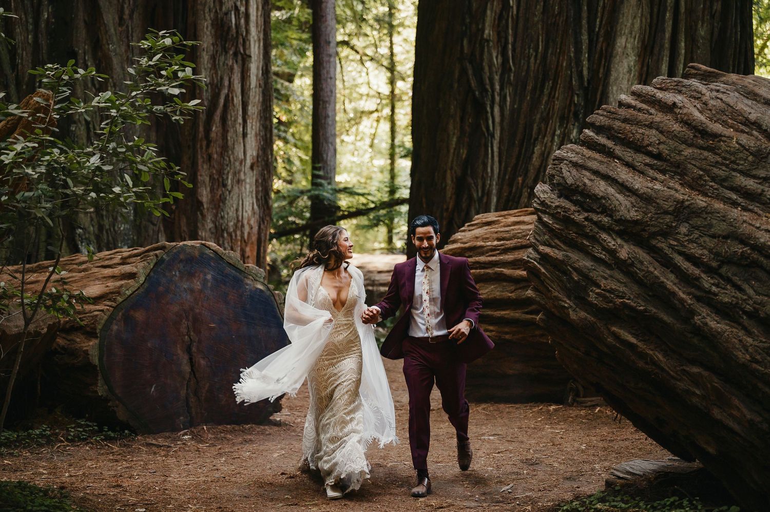A couple in wedding attire walks through a majestic redwood forest in northern California.