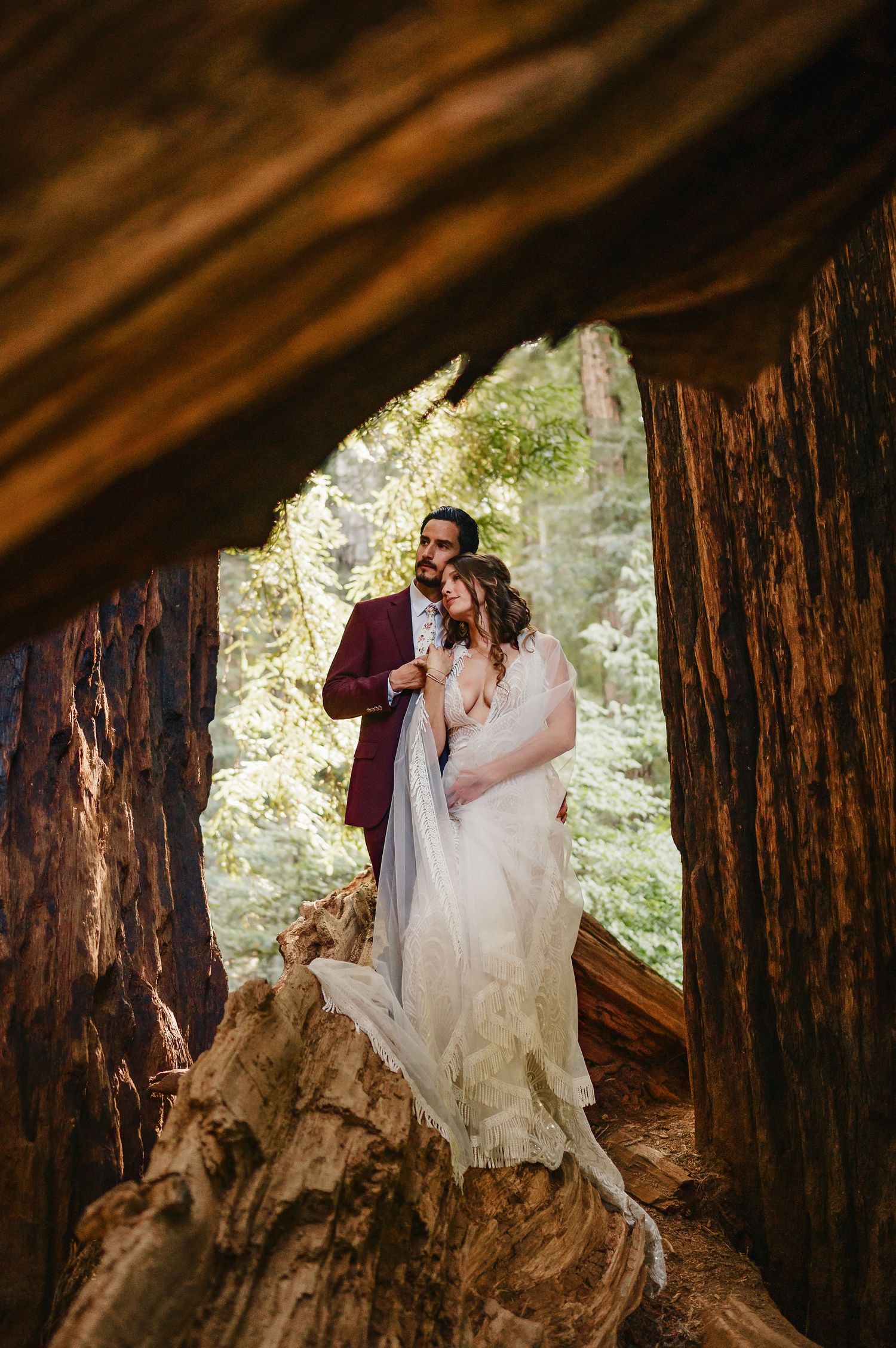 Wedding couple posing romantically against giant redwood trees in a magical forest setting.