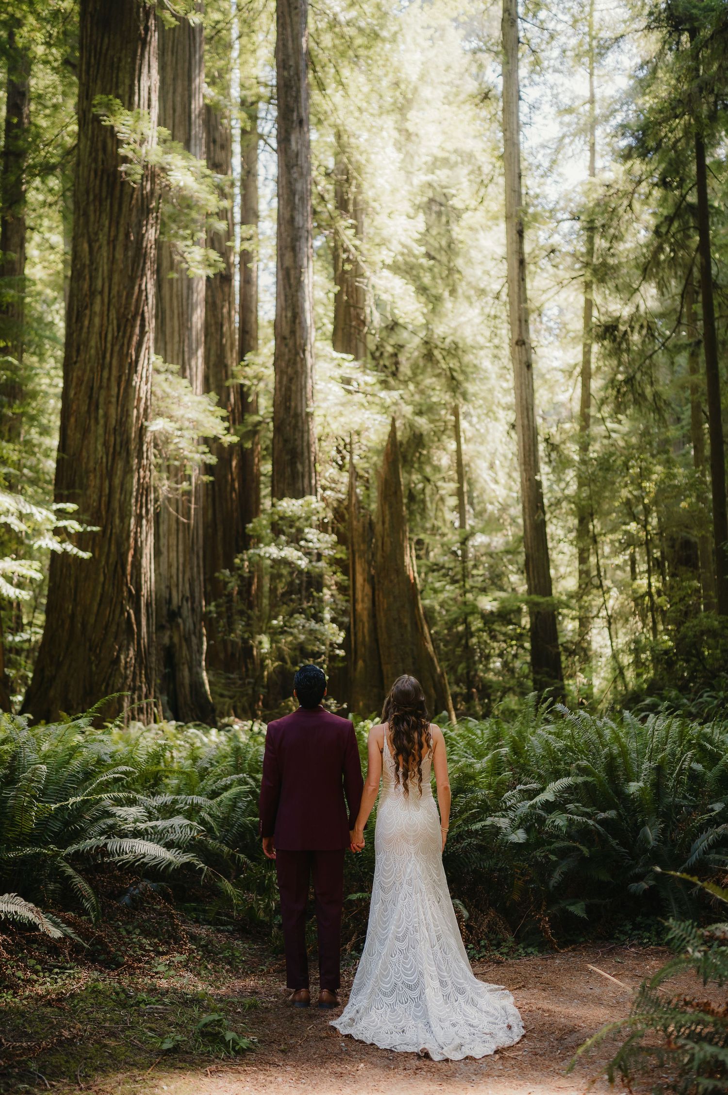 A couple in wedding attire stands on a trail surrounded by towering redwood trees and lush ferns in a magical forest setting.