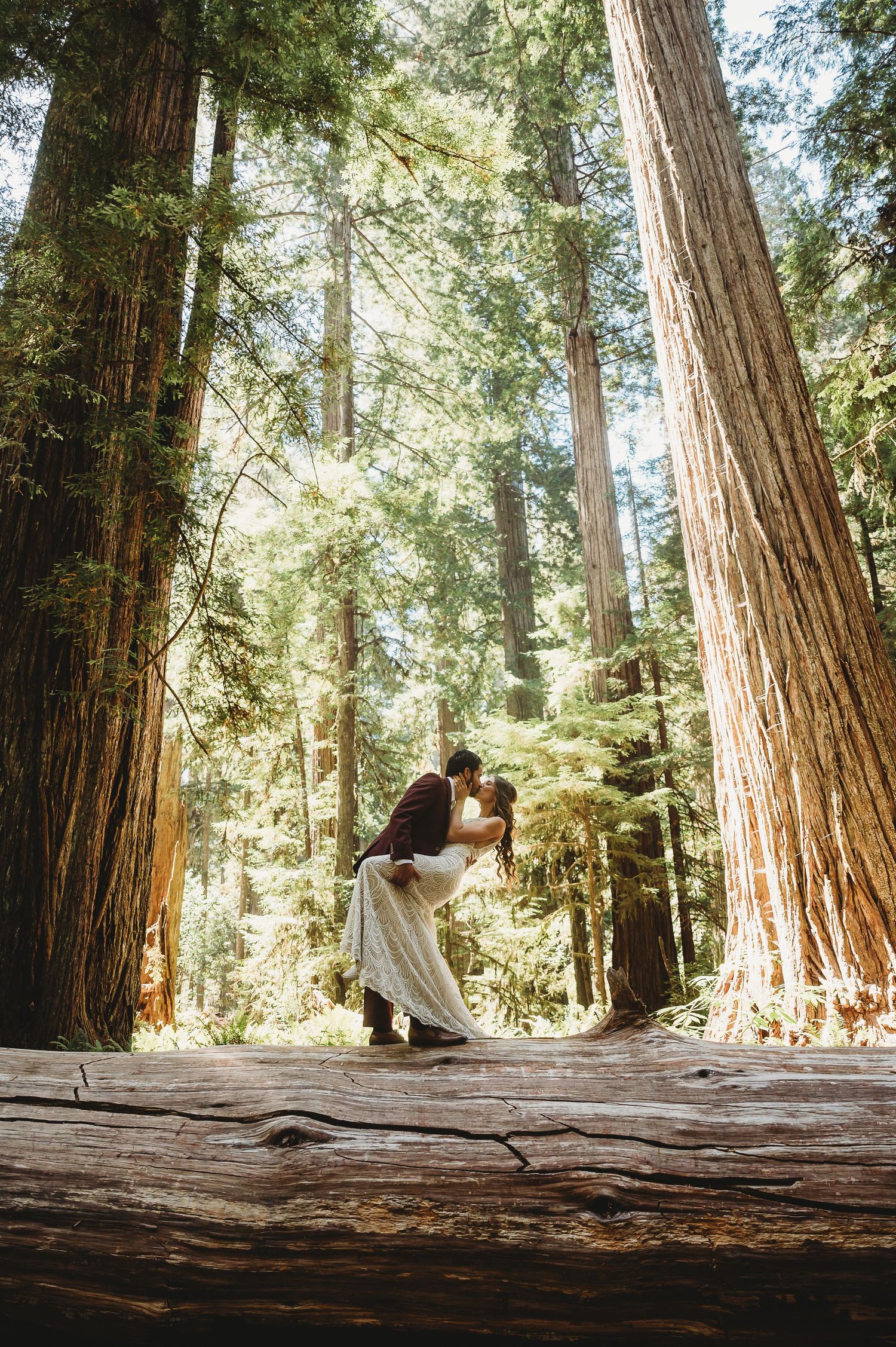 A couple embraces next to a fallen redwood log in a sunlit forest grove during an intimate outdoor moment.